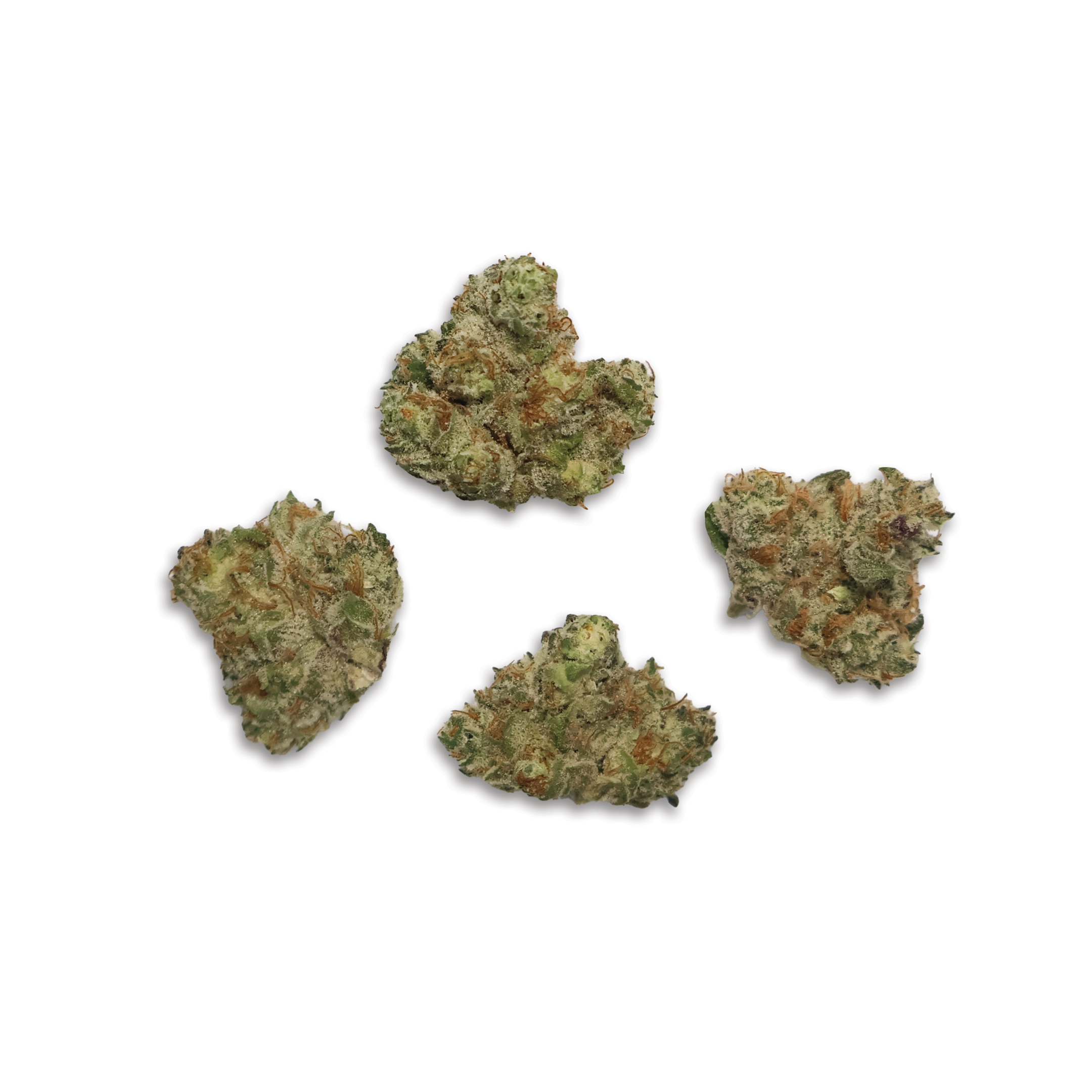 Hollywood Runtz Smalls THCa Flower - Miracle of The Desert