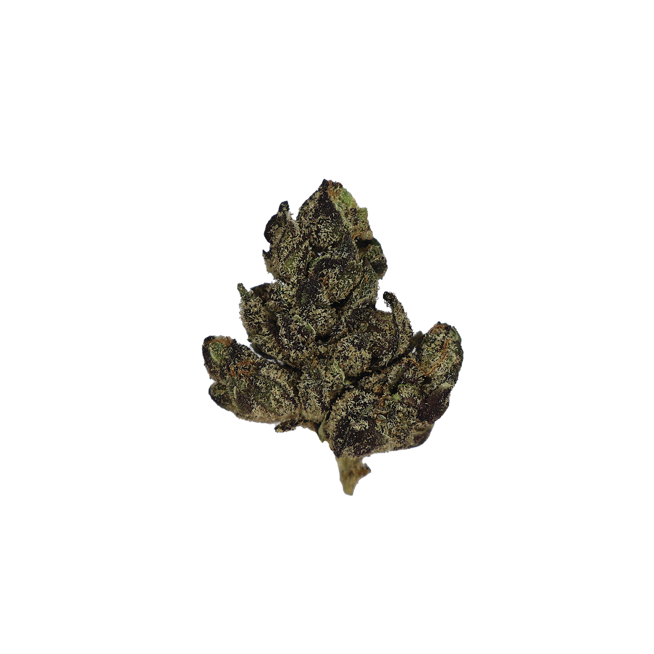 Runtz x Jealousy Smalls