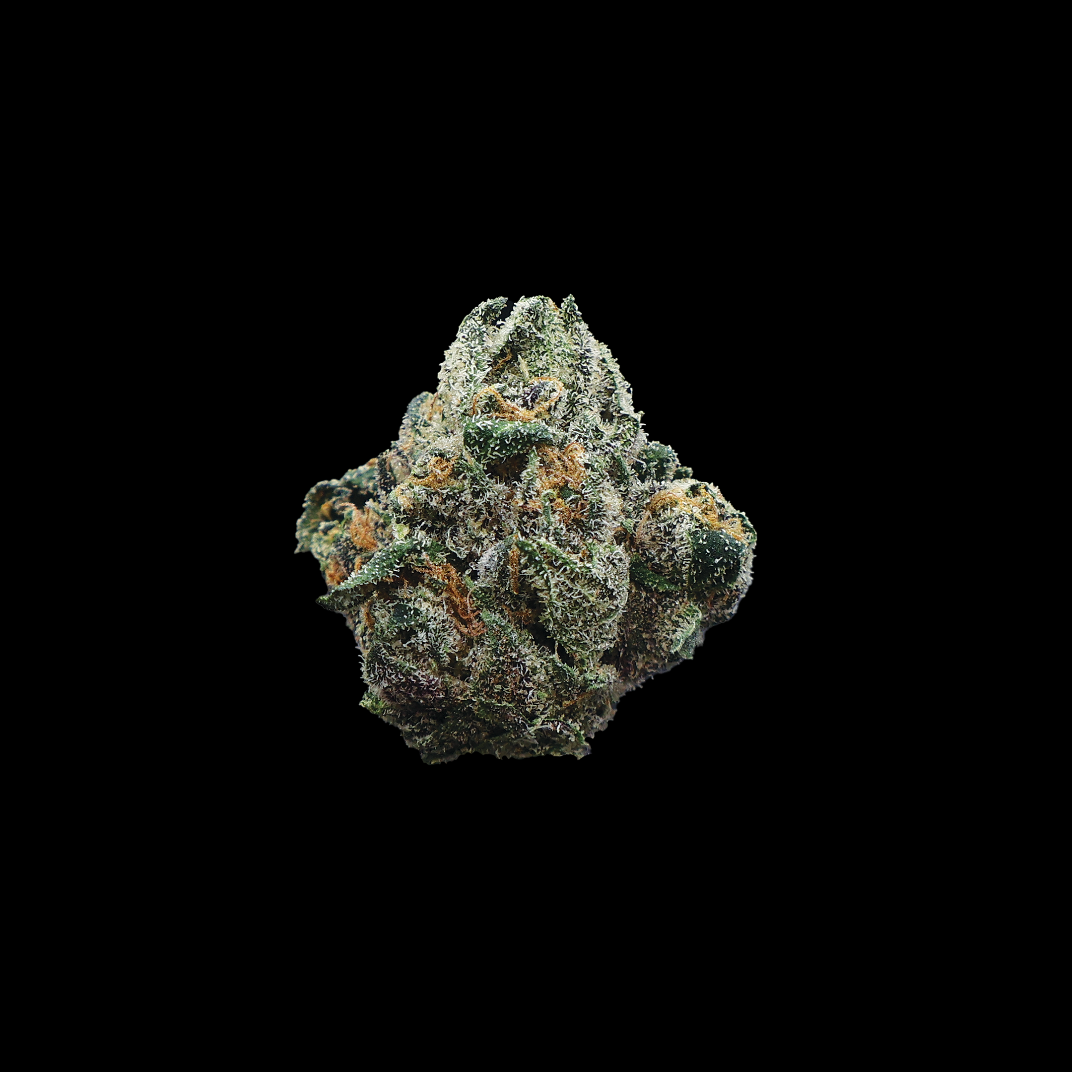 Jokerz Gelato THCa Smalls Flower