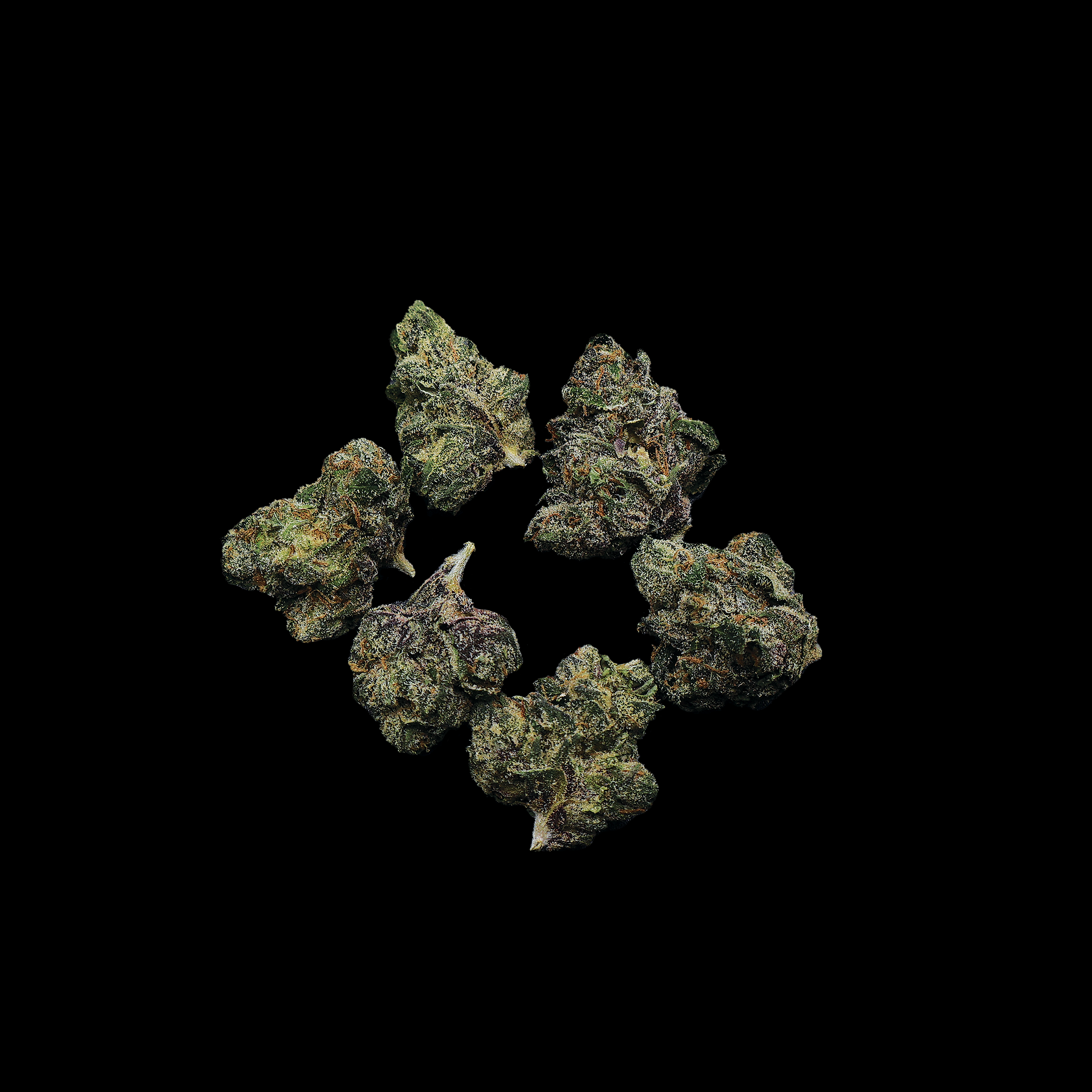 Jokerz Gelato THCa Smalls Flower