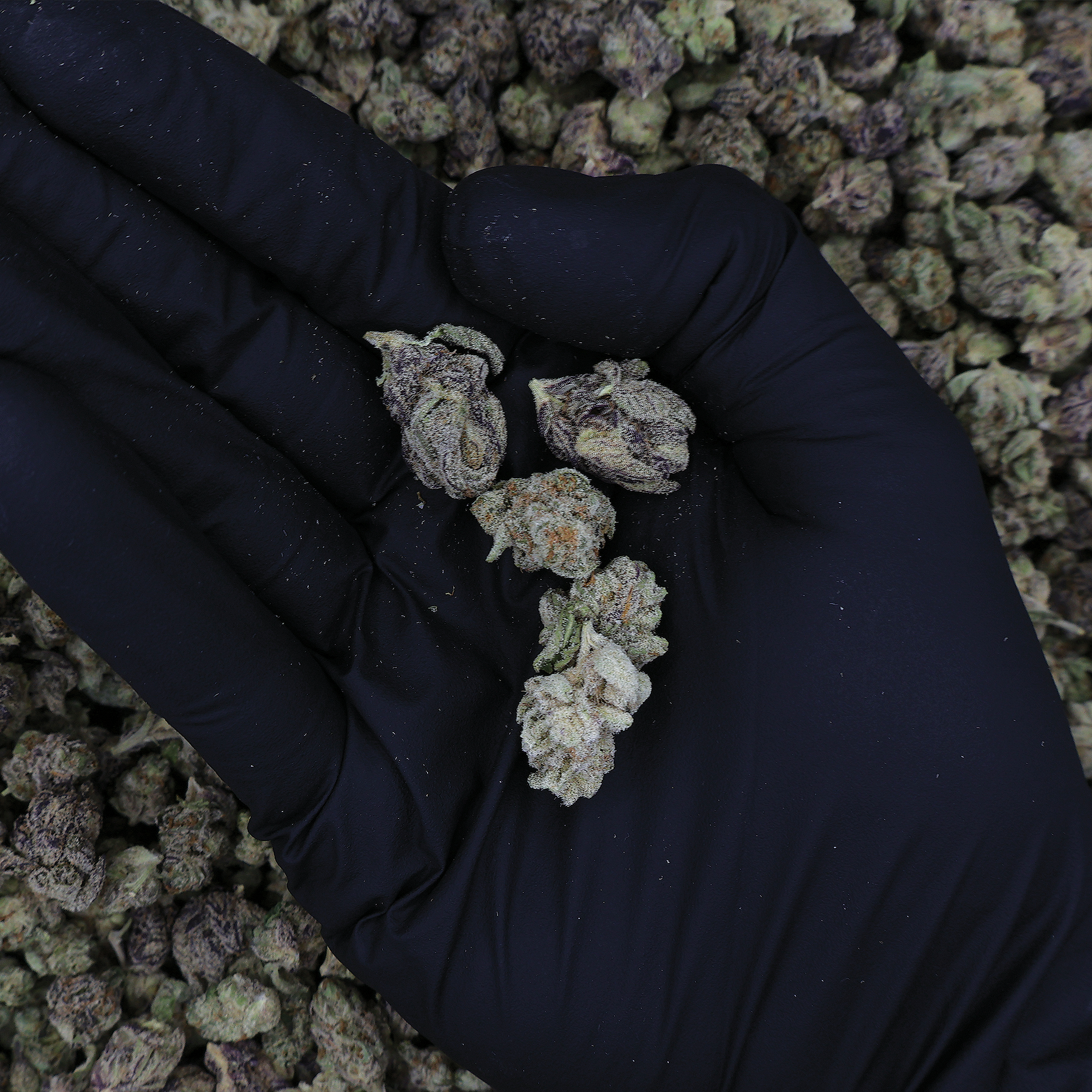 Kush Mix THCa Smalls Flower