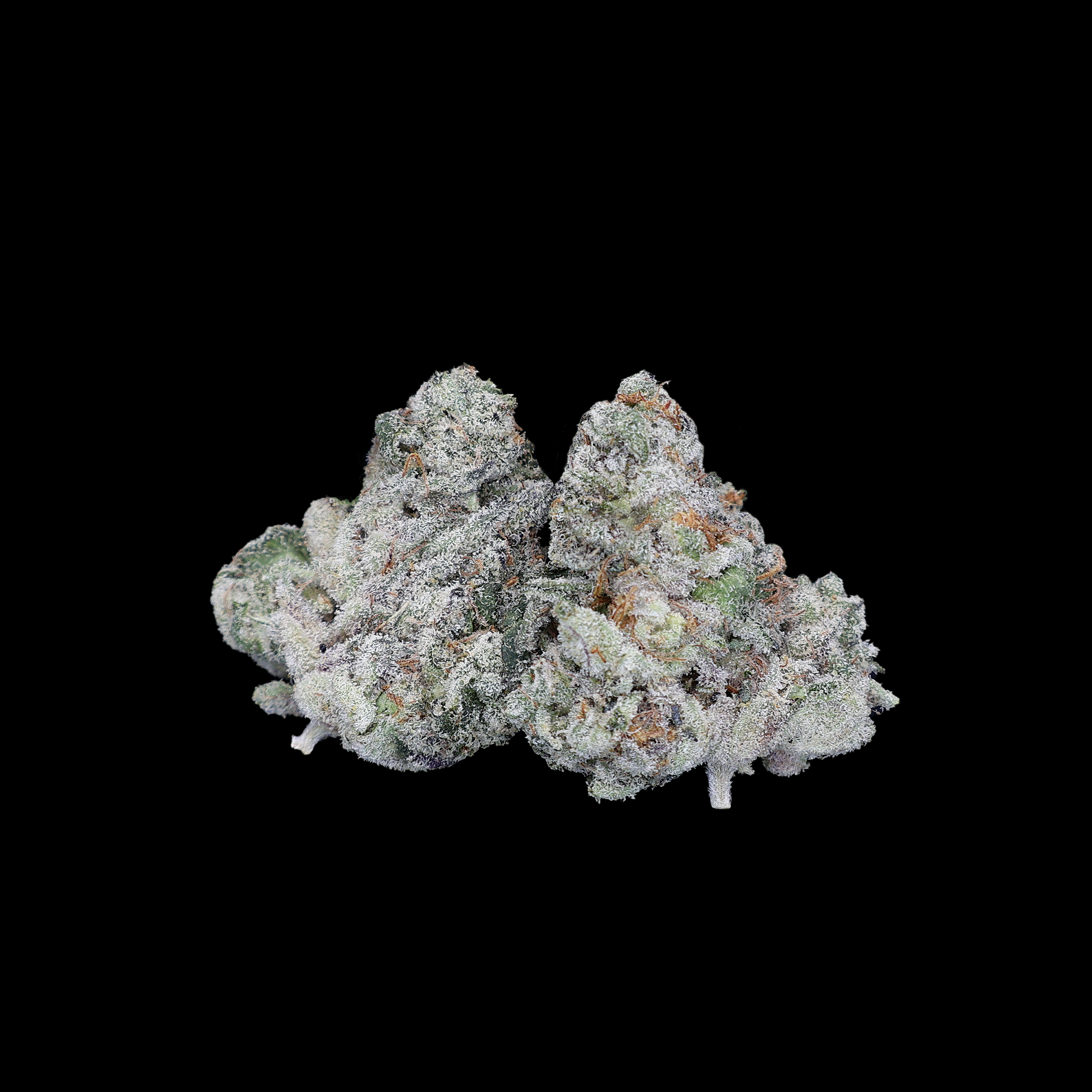 LA Pop Rocks THCa Smalls Flower