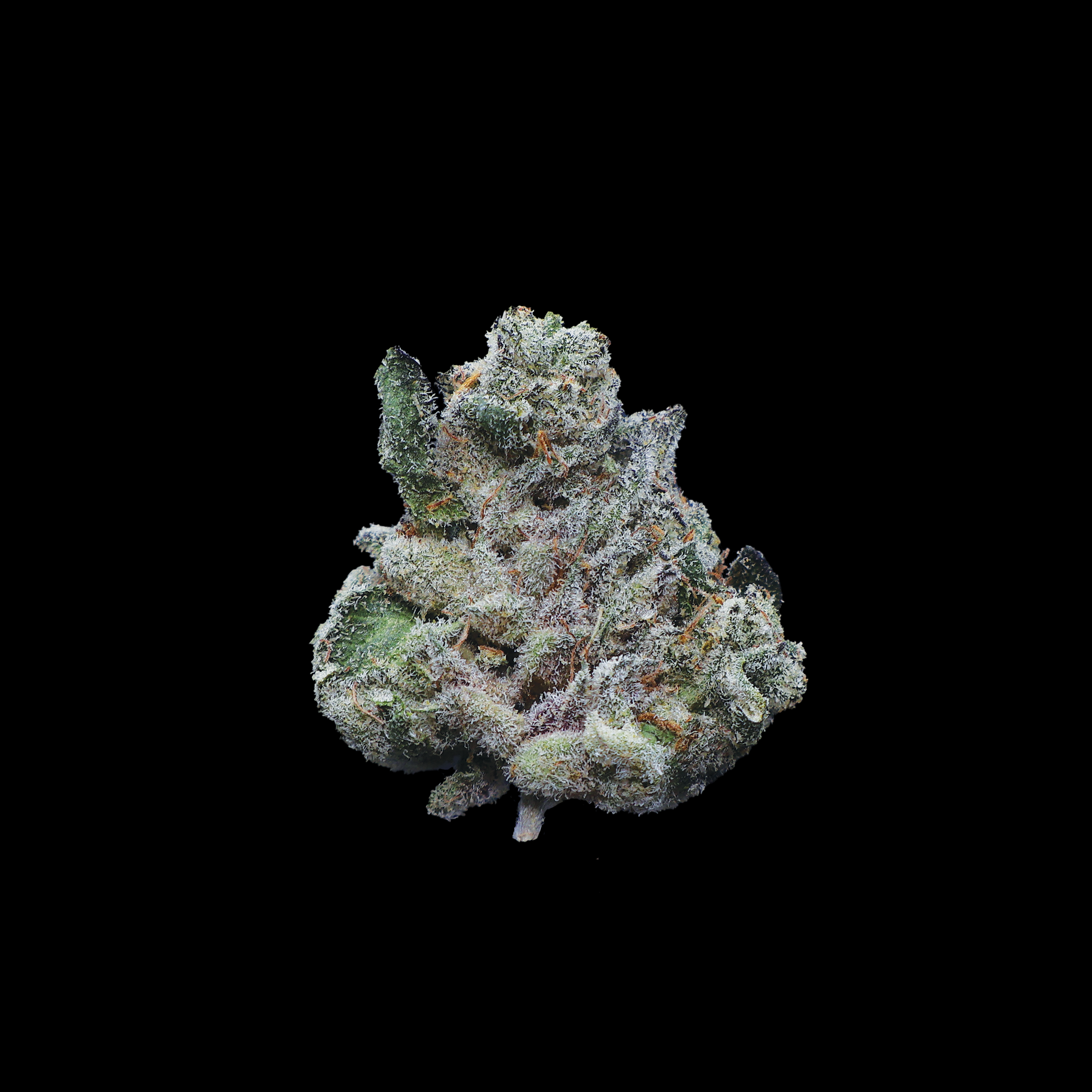 LA Pop Rocks THCa Smalls Flower