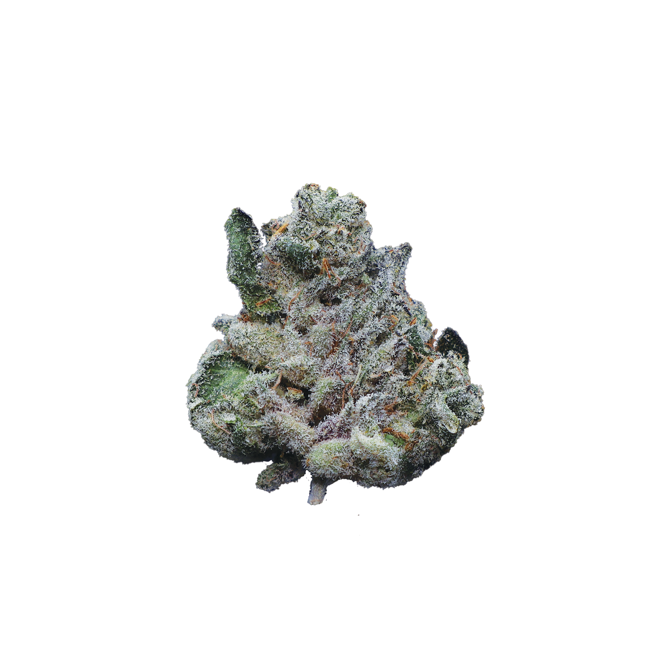 LA Pop Rocks THCa Smalls Flower