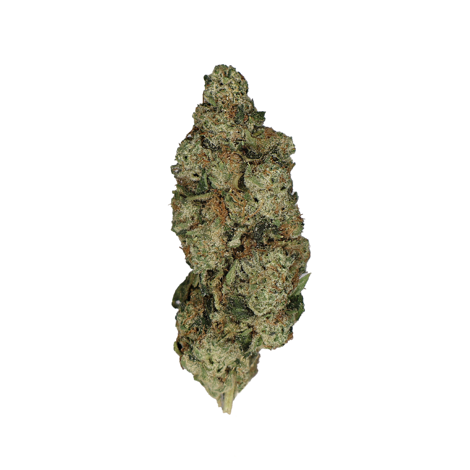 Alien OG