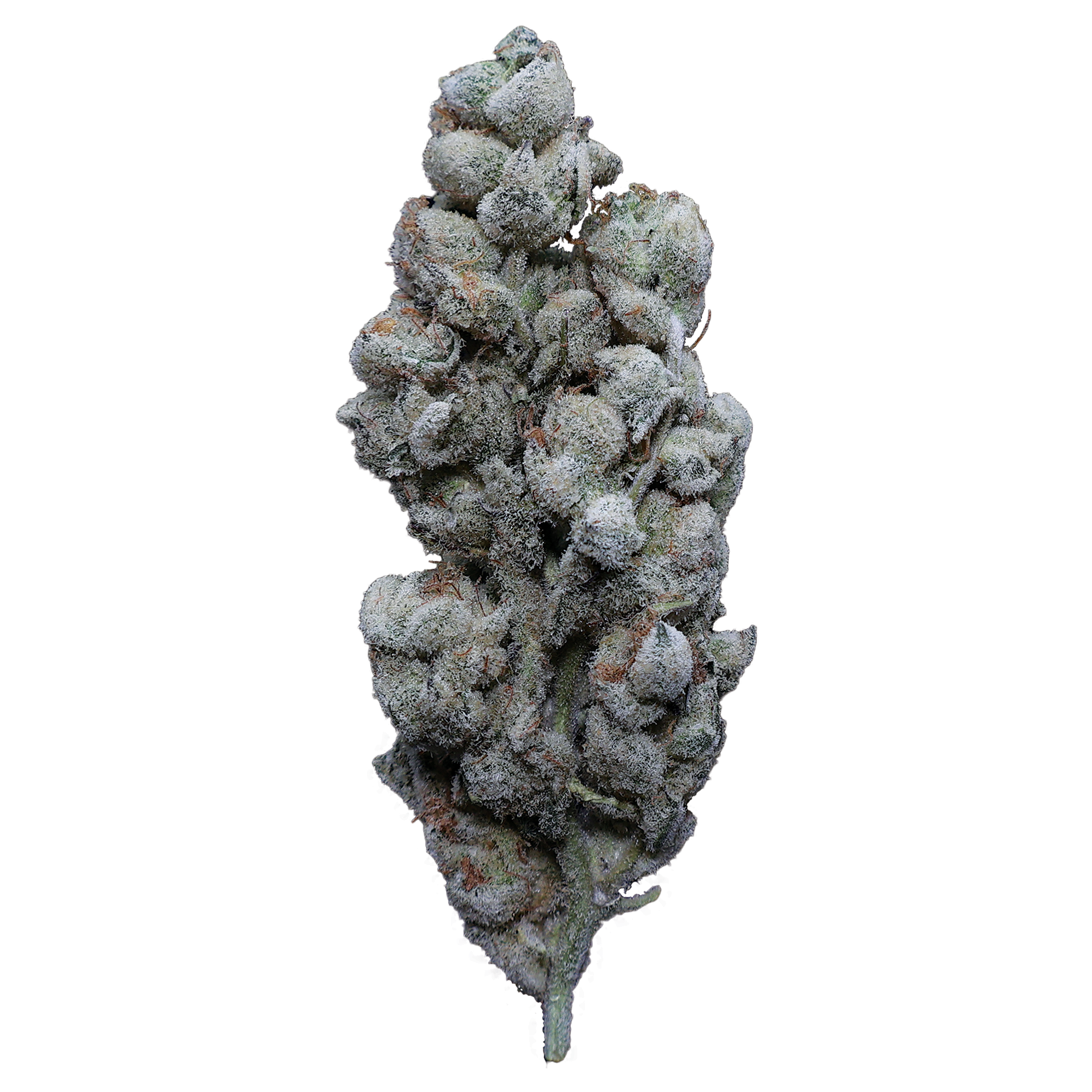 MAC 1 X Jealousy THCa Flower - Miracle of The Desert