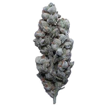 MAC 1 X Jealousy THCa Flower - Miracle of The Desert