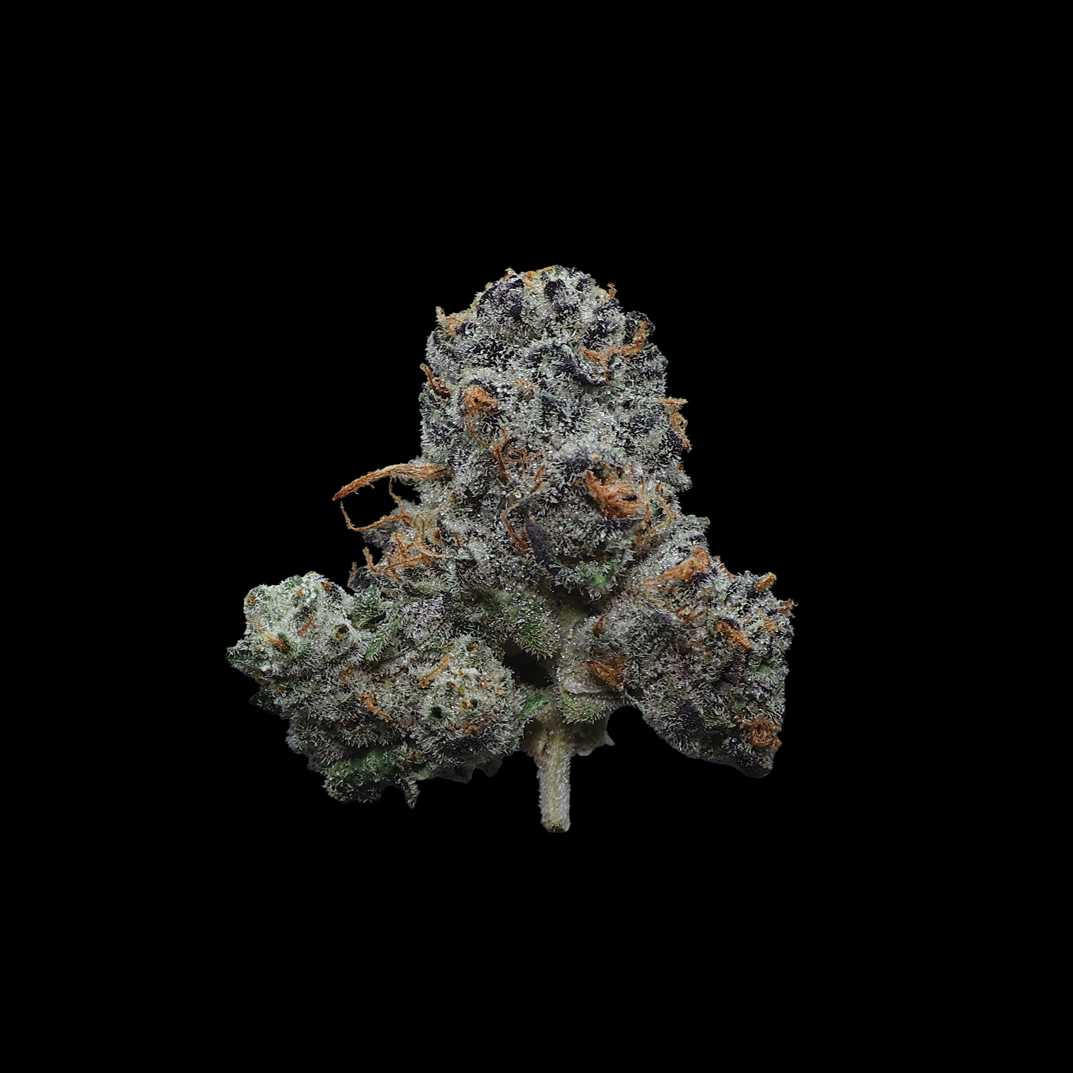 Kali Mist THCa Smalls Flower