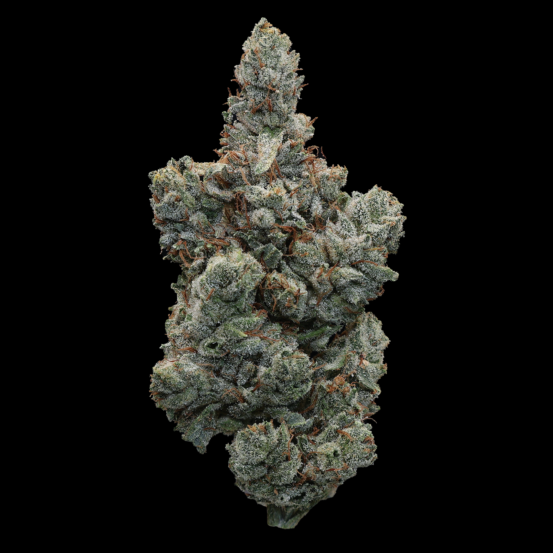 Mystic Glue THCa Flower