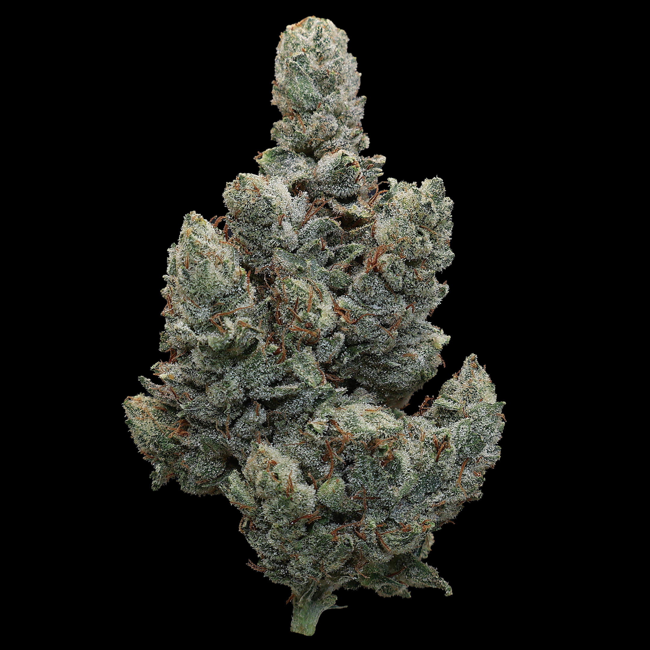 Mystic Glue THCa Flower