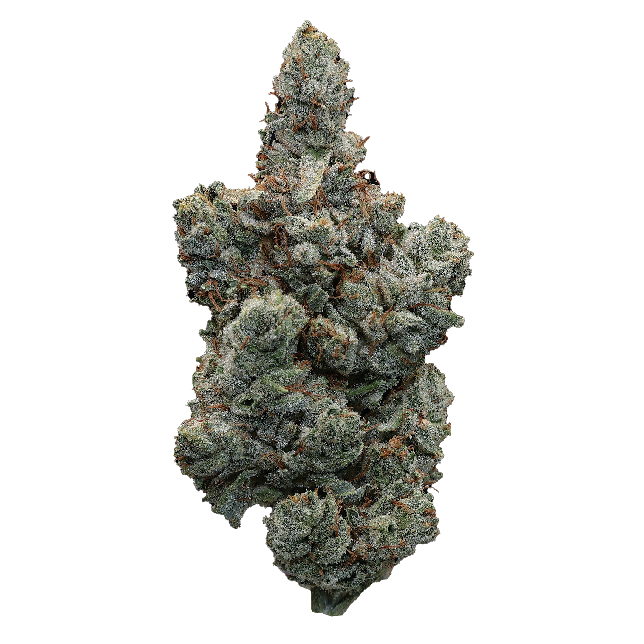 Mystic Glue THCa Flower