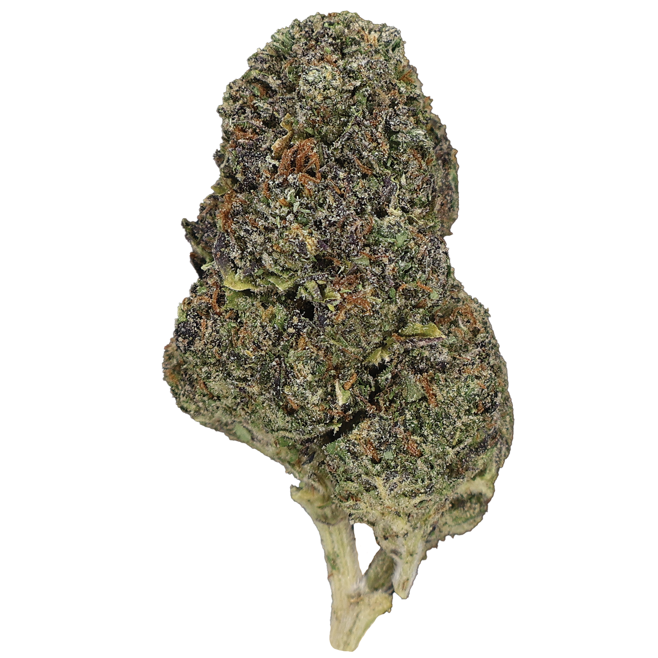 Obama Runtz THCa Flower - Miracle of The Desert