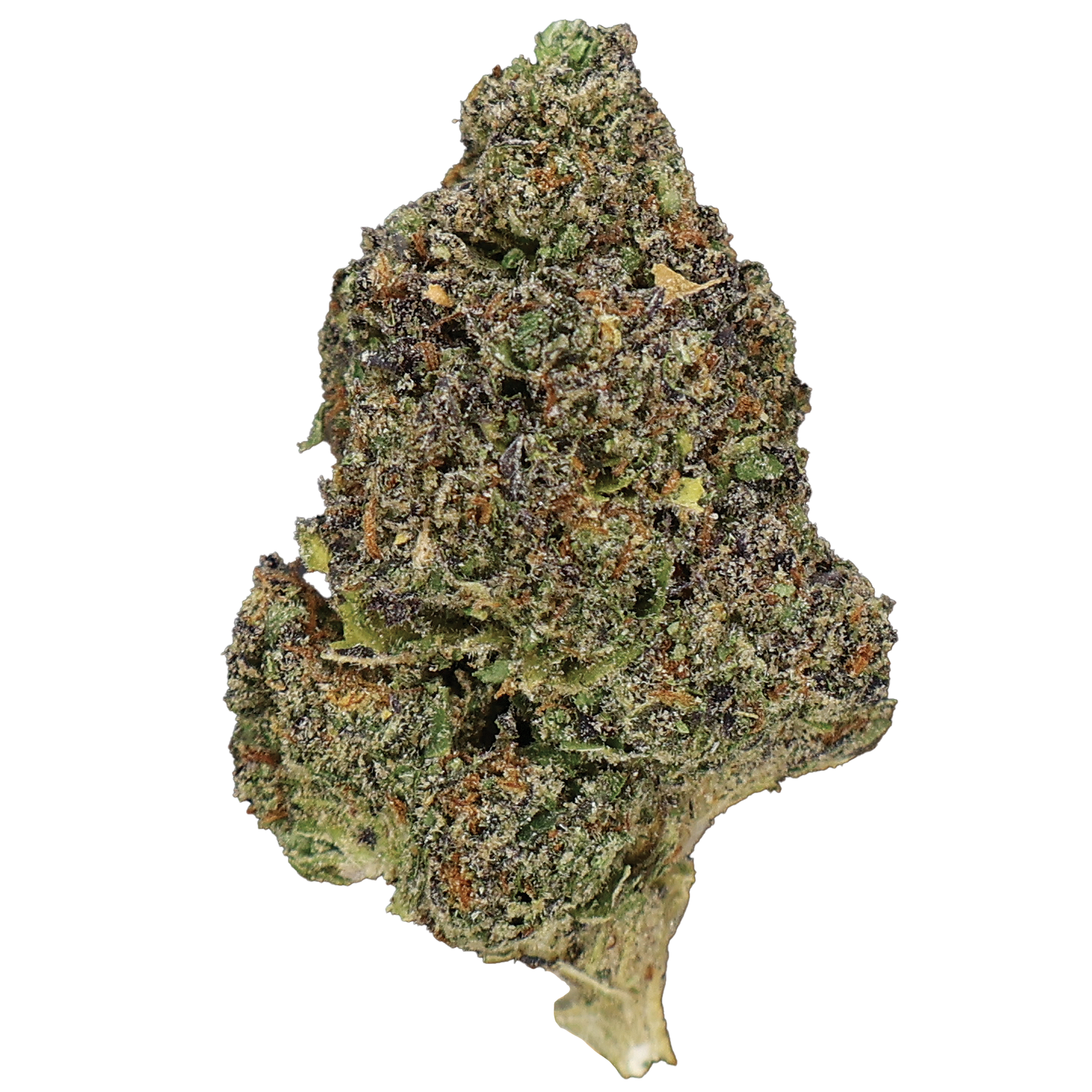 Obama Runtz THCa Flower - Miracle of The Desert