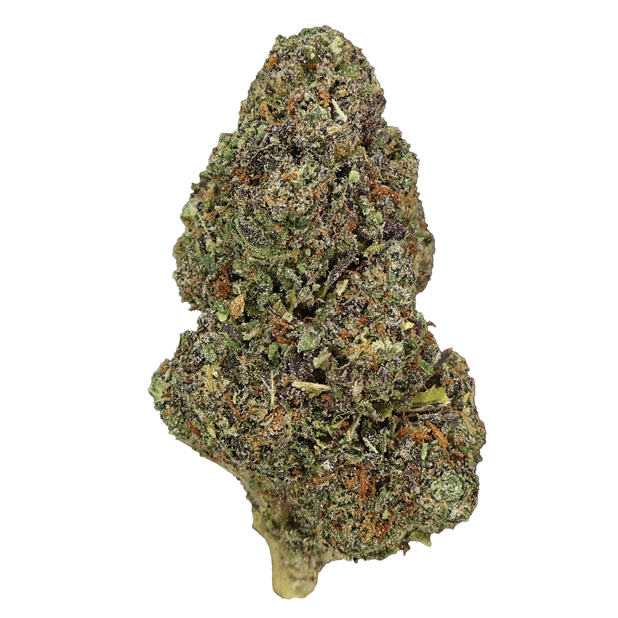 Obama Runtz THCa Flower - Miracle of The Desert