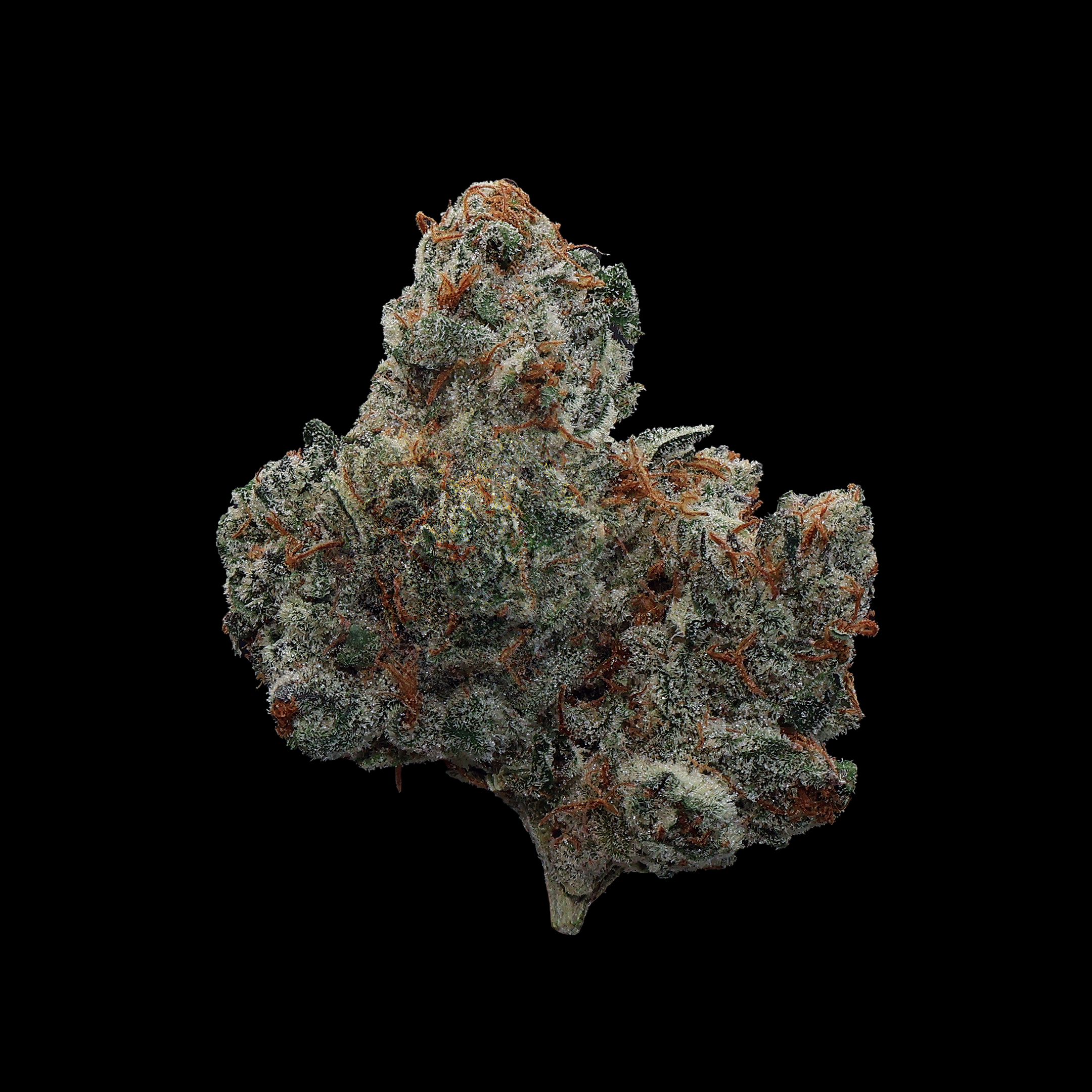 Polar Pop THCa Flower