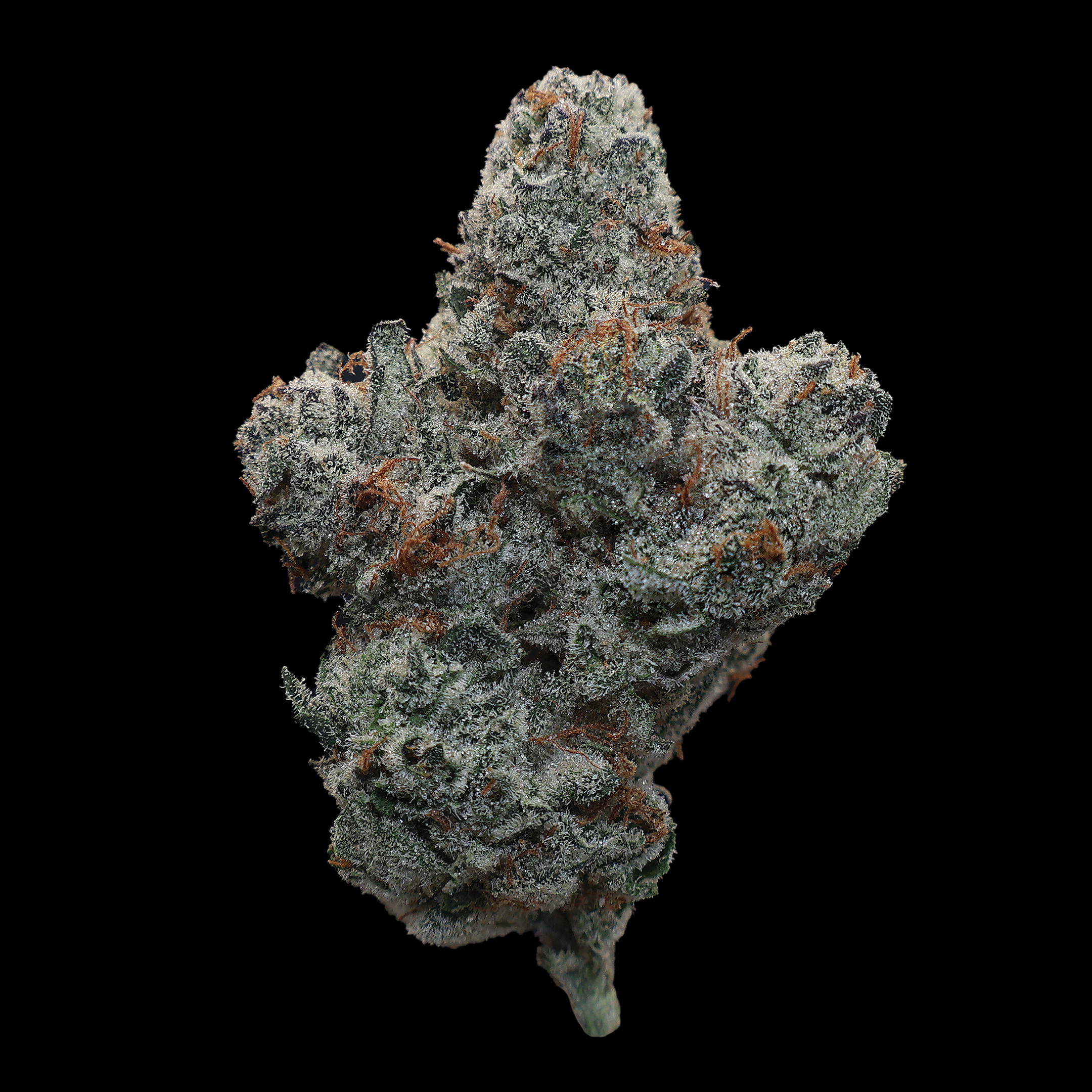 Polar Pop THCa Flower