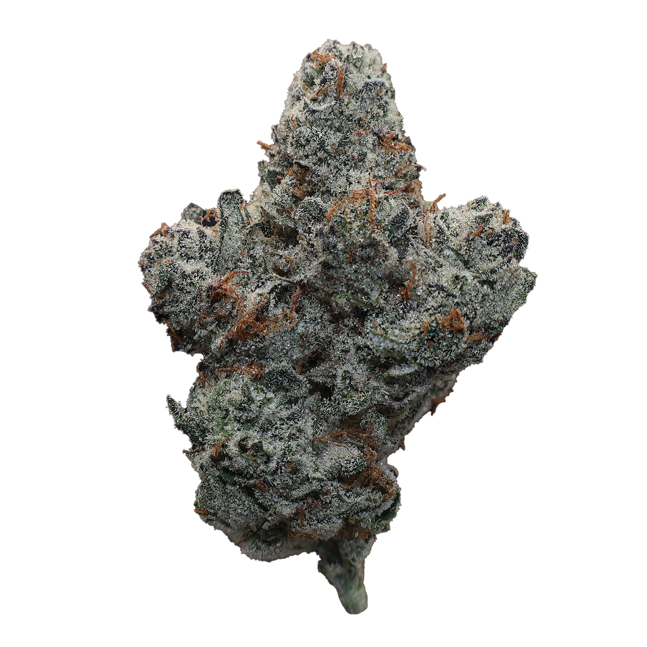 Polar Pop THCa Flower