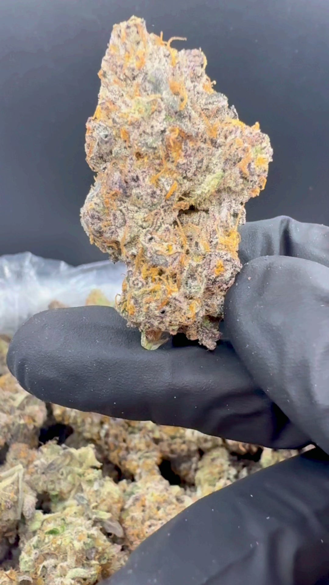 Applescotti THCa Flower