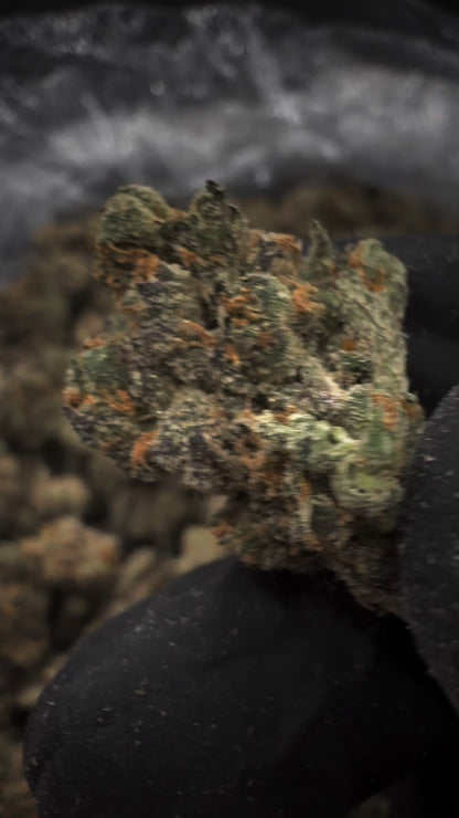 True Oregon Gushers THCa Smalls Flower