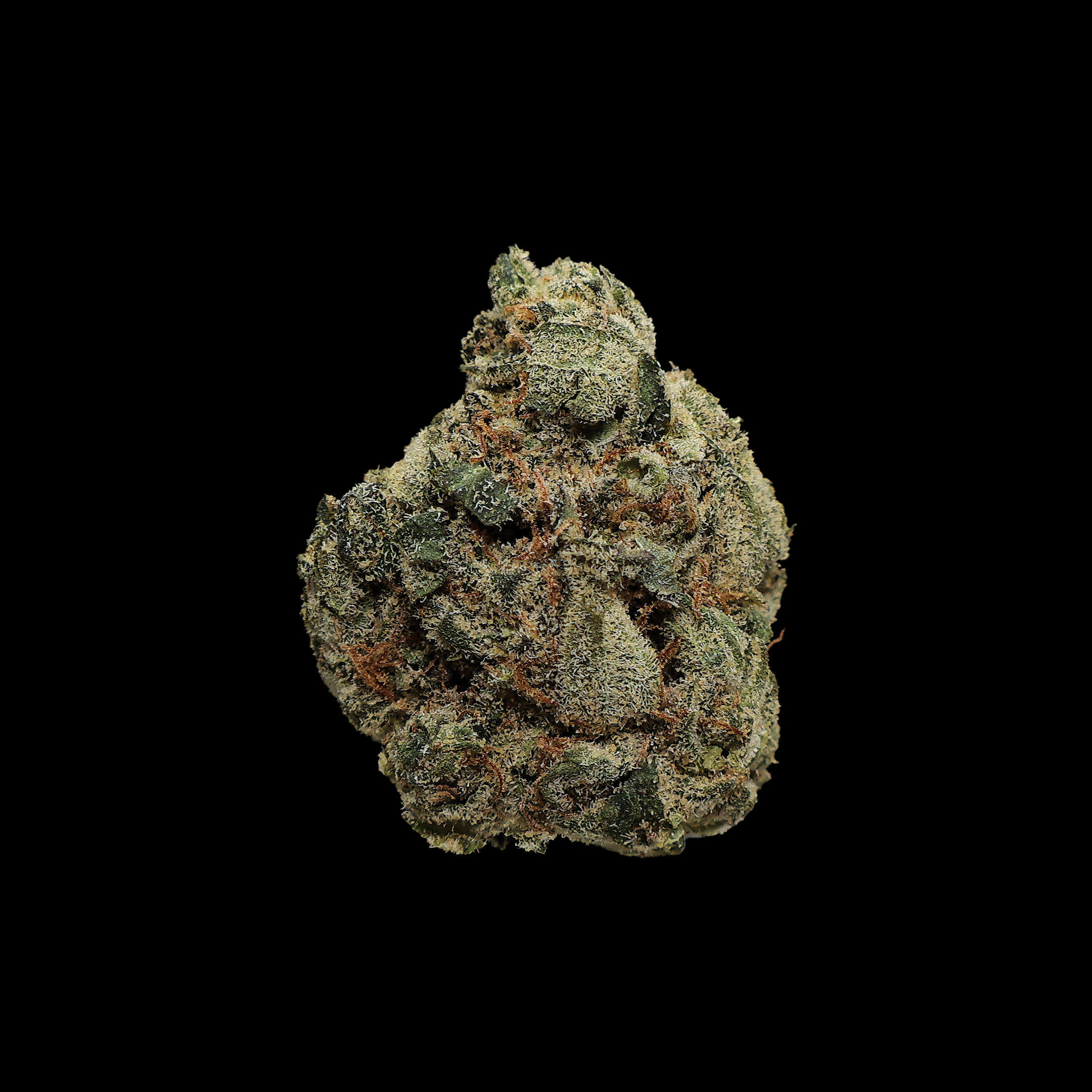 Royal Cat Piss THCa Smalls Flower