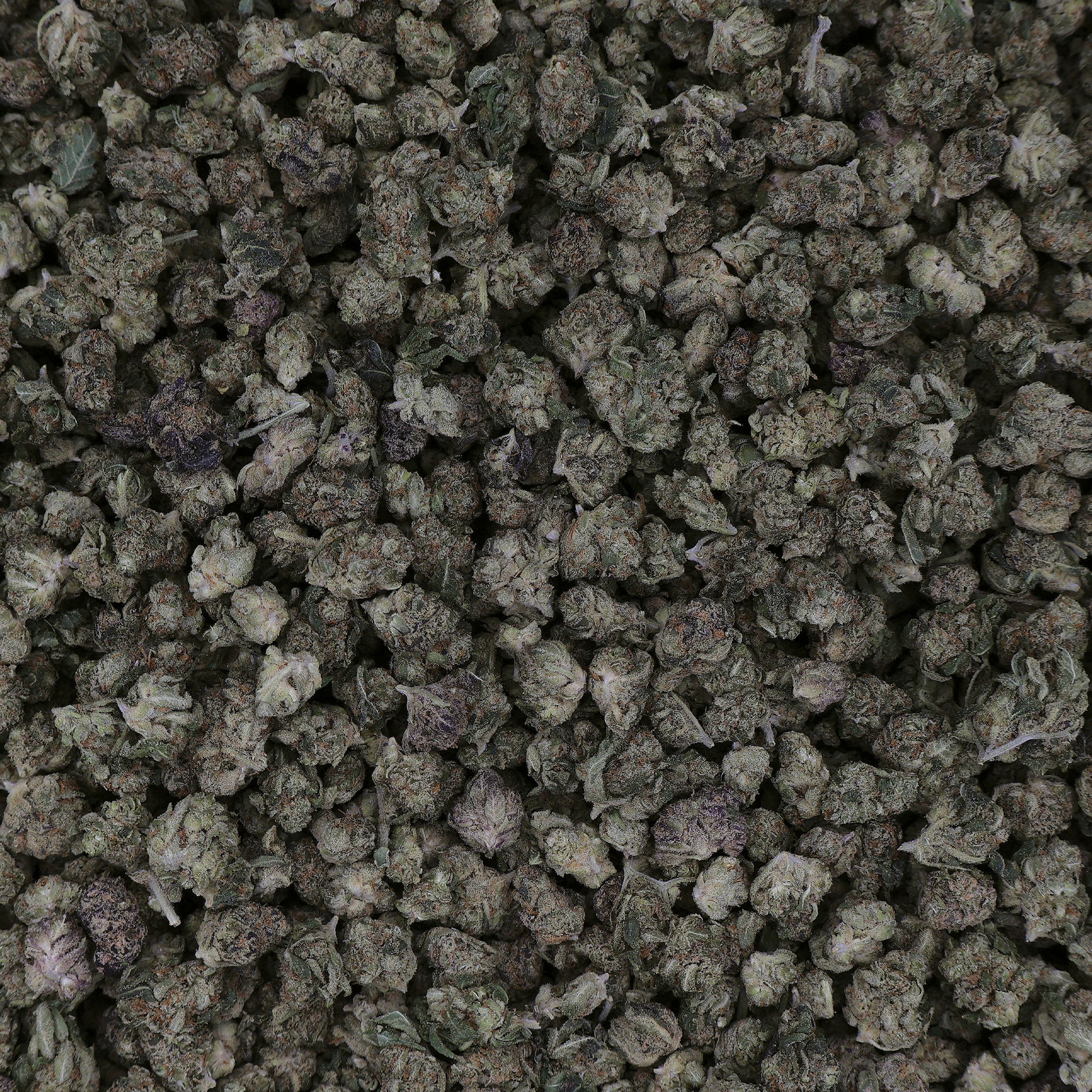 Royal Cat Piss THCa Smalls Flower