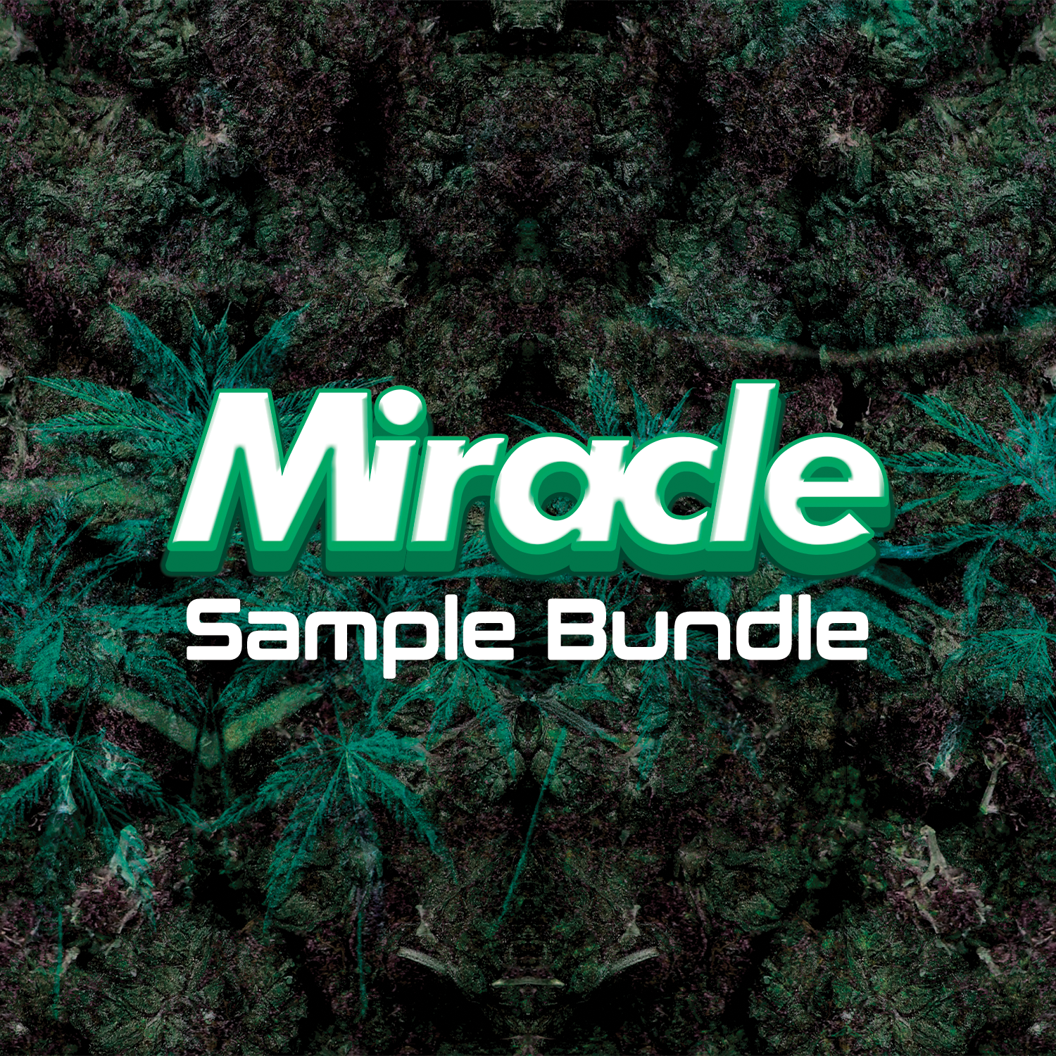 Premium Flower Sample Pack