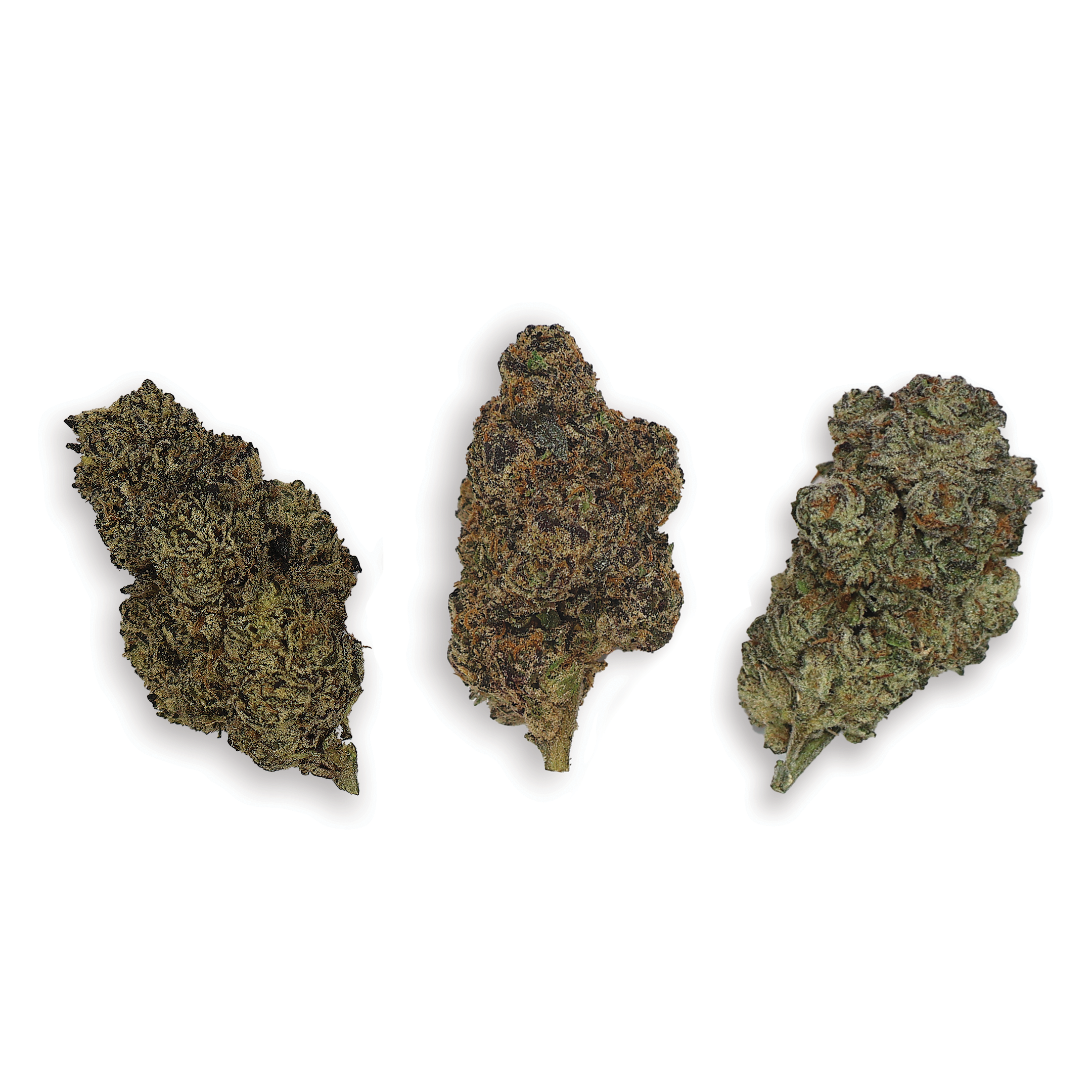 Premium Flower Sample Bundle (Mix and match, 3-pack) - Miracle of The Desert