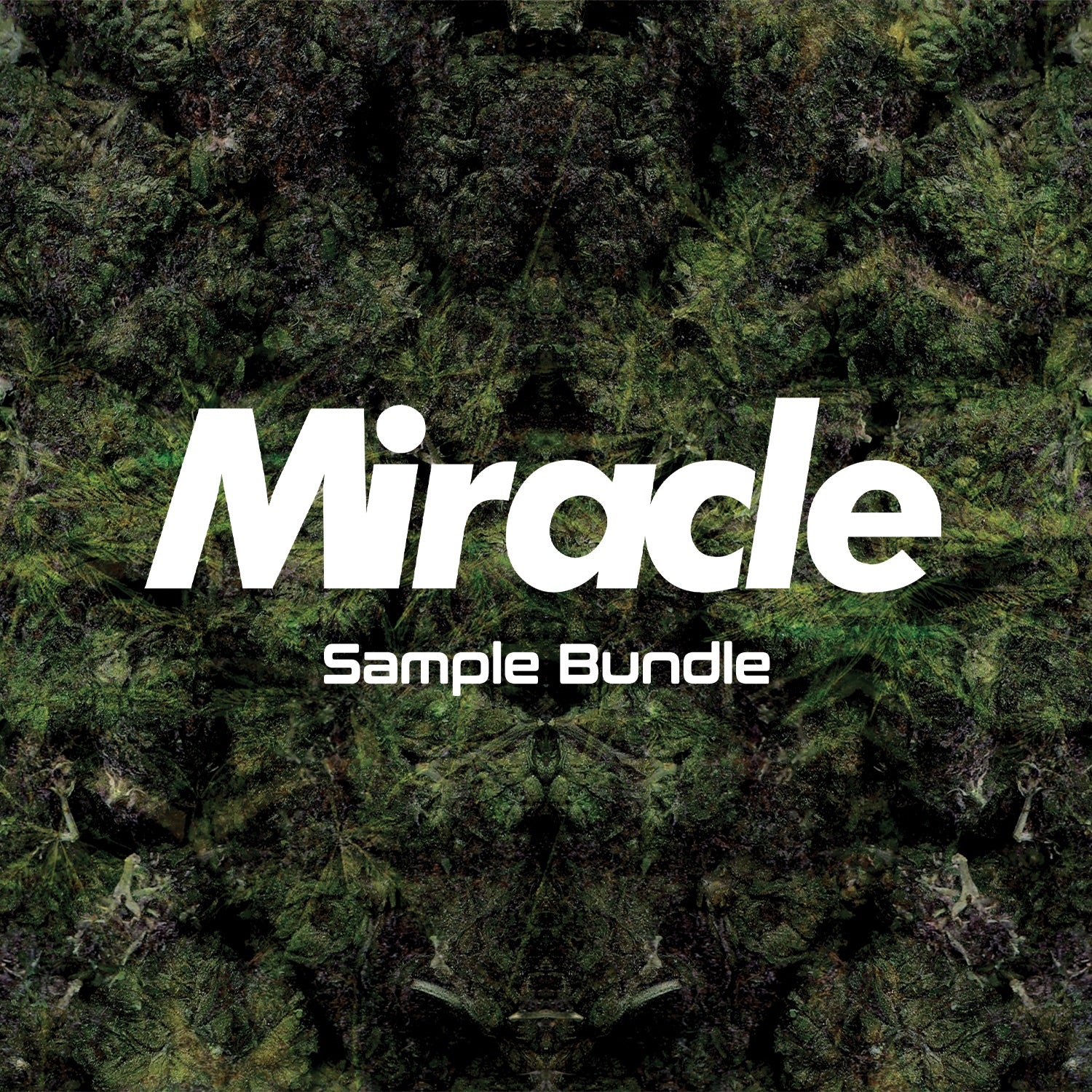 Premium Flower Sample Bundle (Mix and match, 3-pack) - Miracle of The Desert