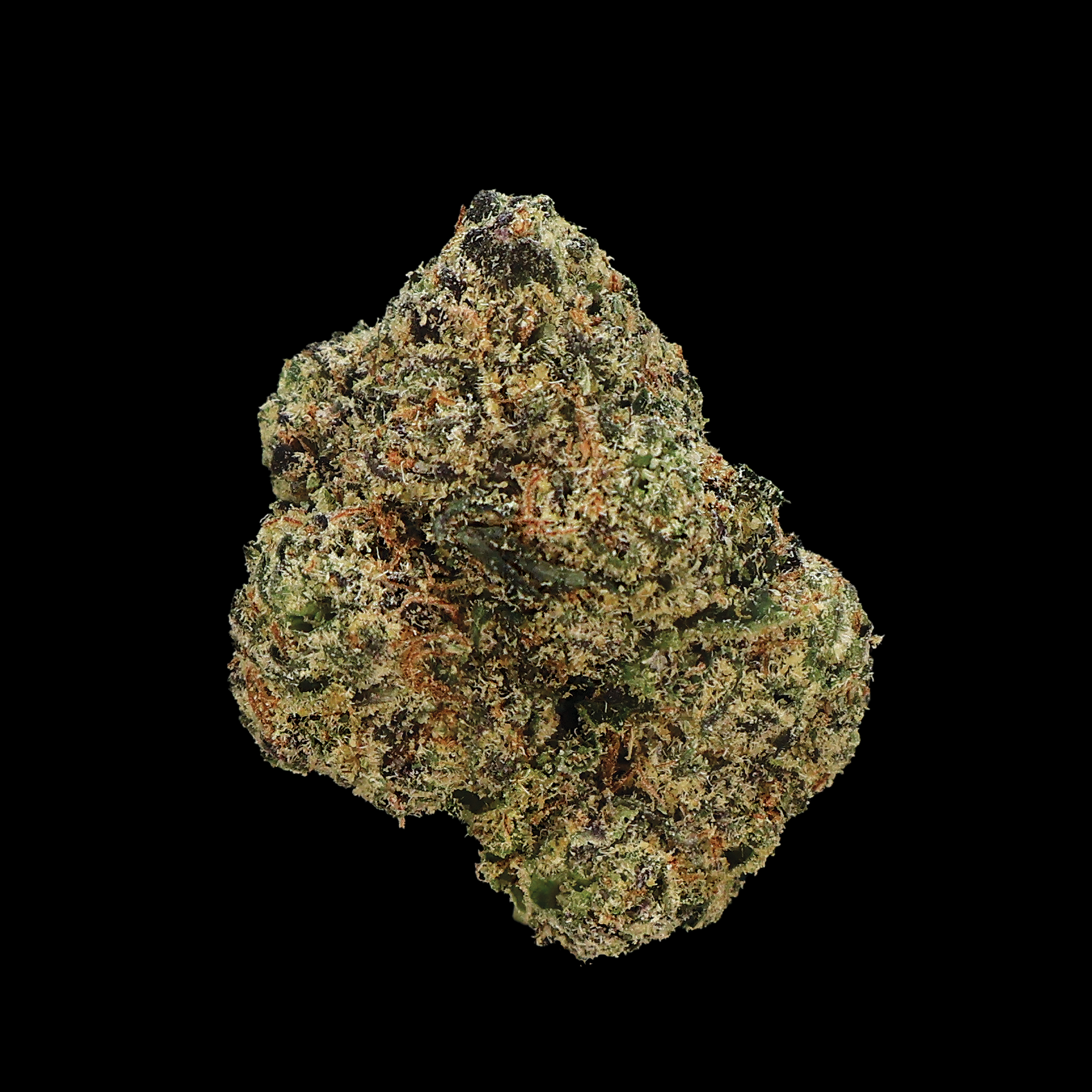 Snoop Dogg OG THCA flower from Miracle of the Desert, showing fresh, green small buds with orange hairs and trichomes.