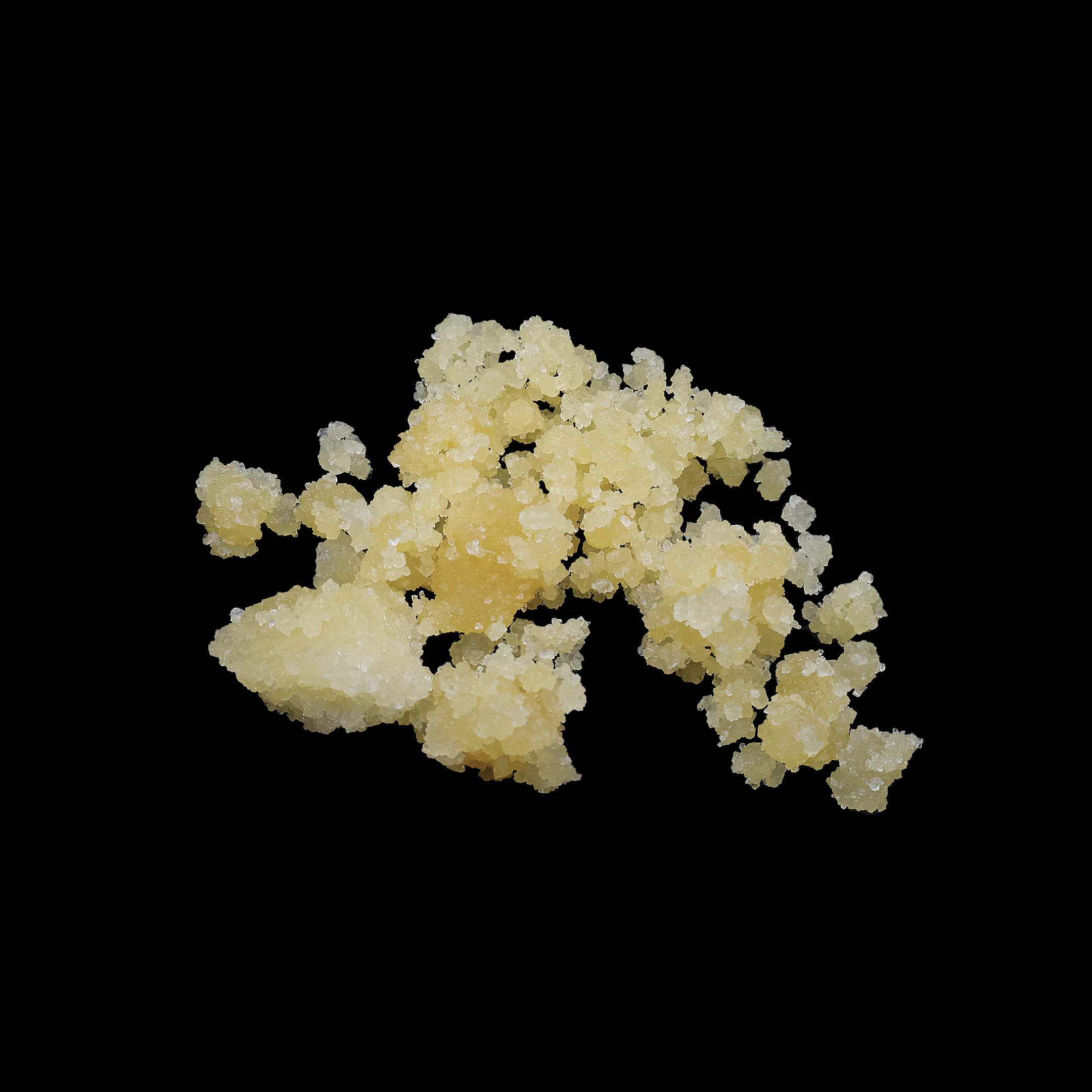 Sour Headband Crumble - Miracle of The Desert