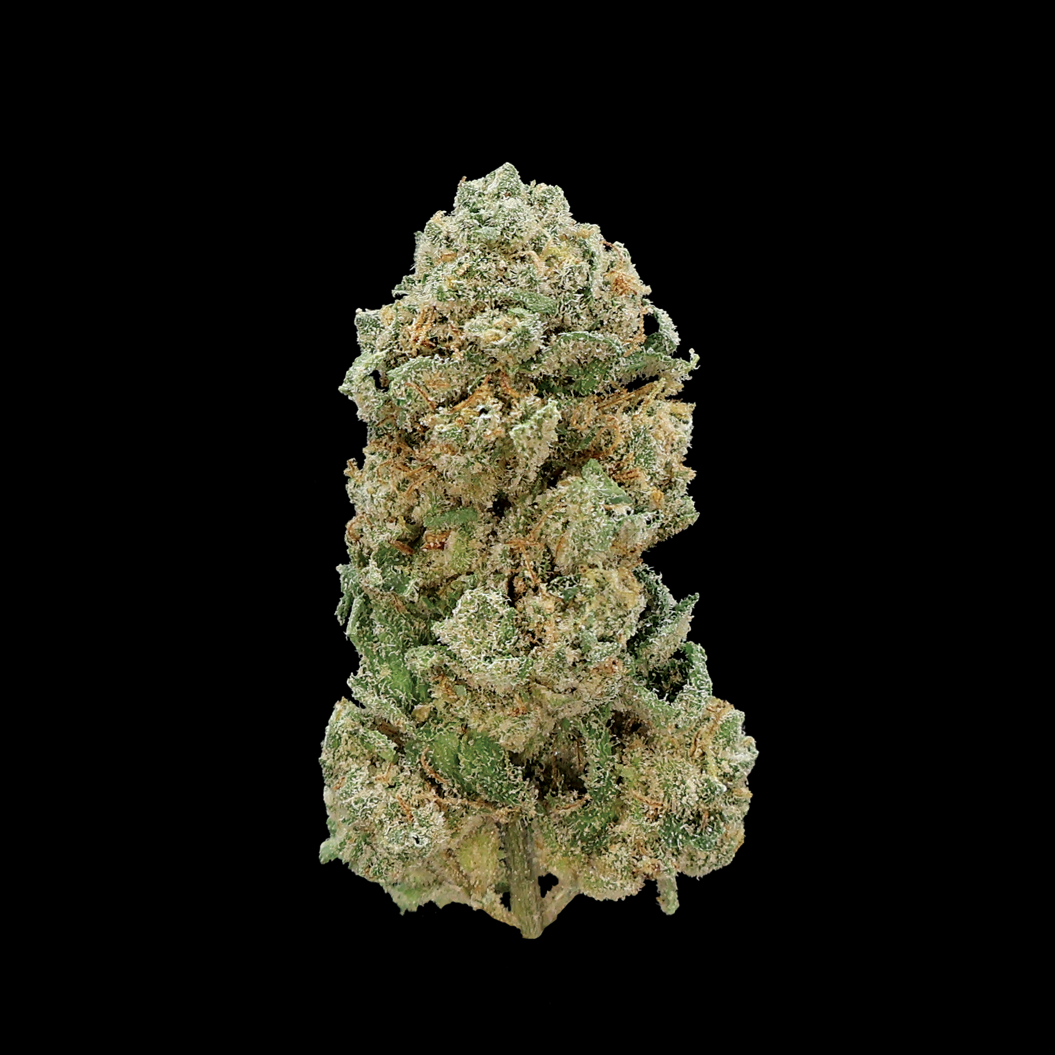 Starfire THCA flower small buds from Miracle of the Desert, showcasing vibrant green cannabis flower with orange hairs and trichomes.