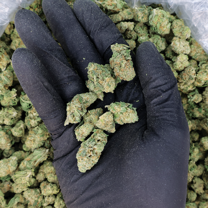 Starfire THCA Smalls Flower by Miracle of the Desert, close-up of vibrant cannabis buds with rich green and orange hues.