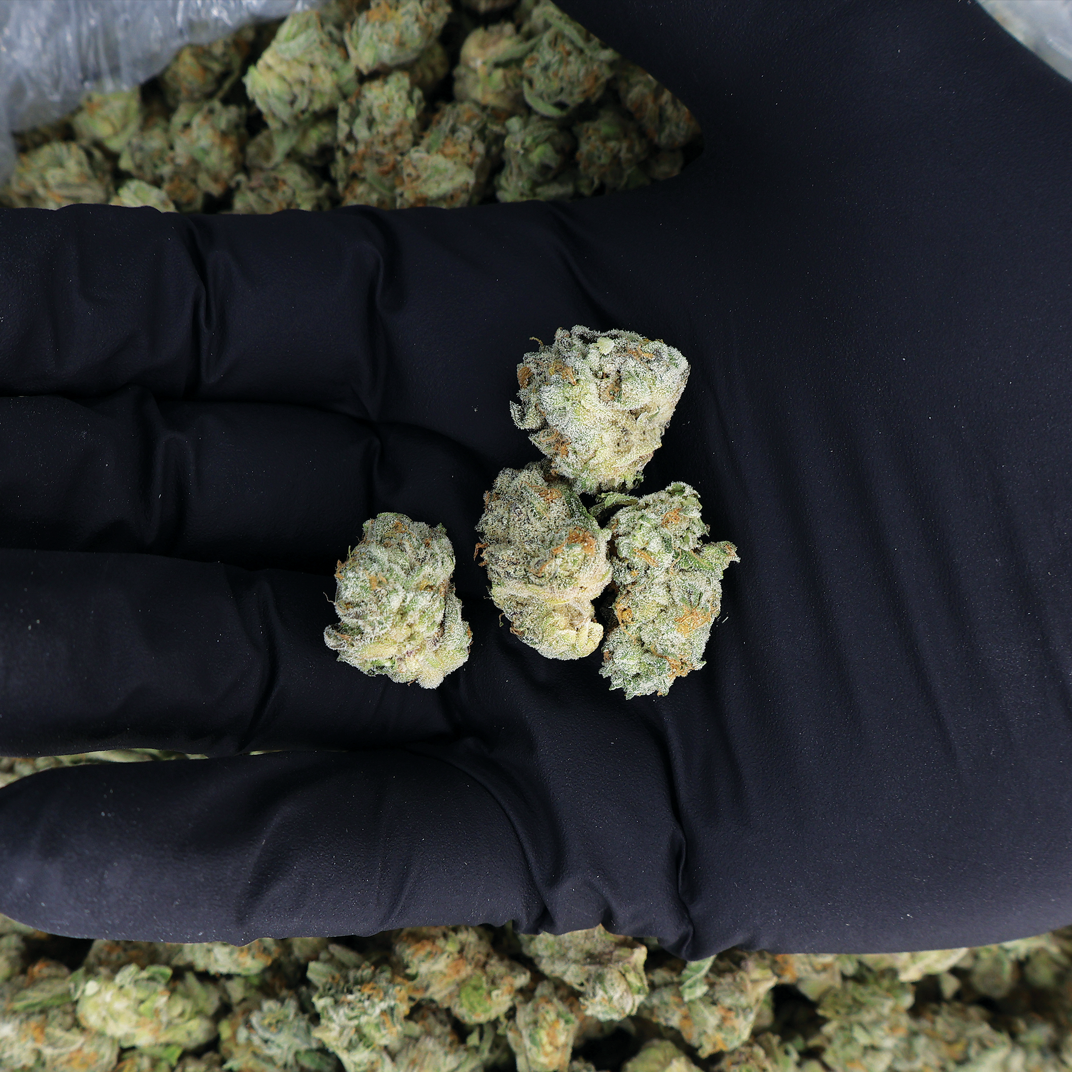 Street Tarts THCa Smalls Flower