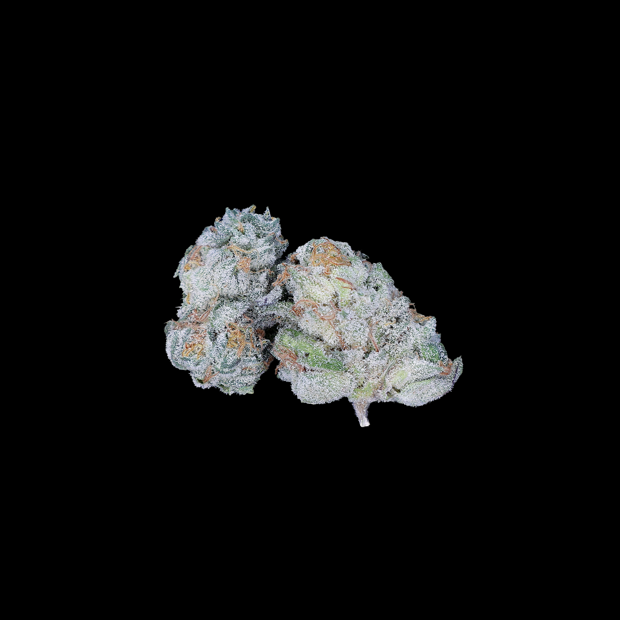 Street Tarts THCa Smalls Flower