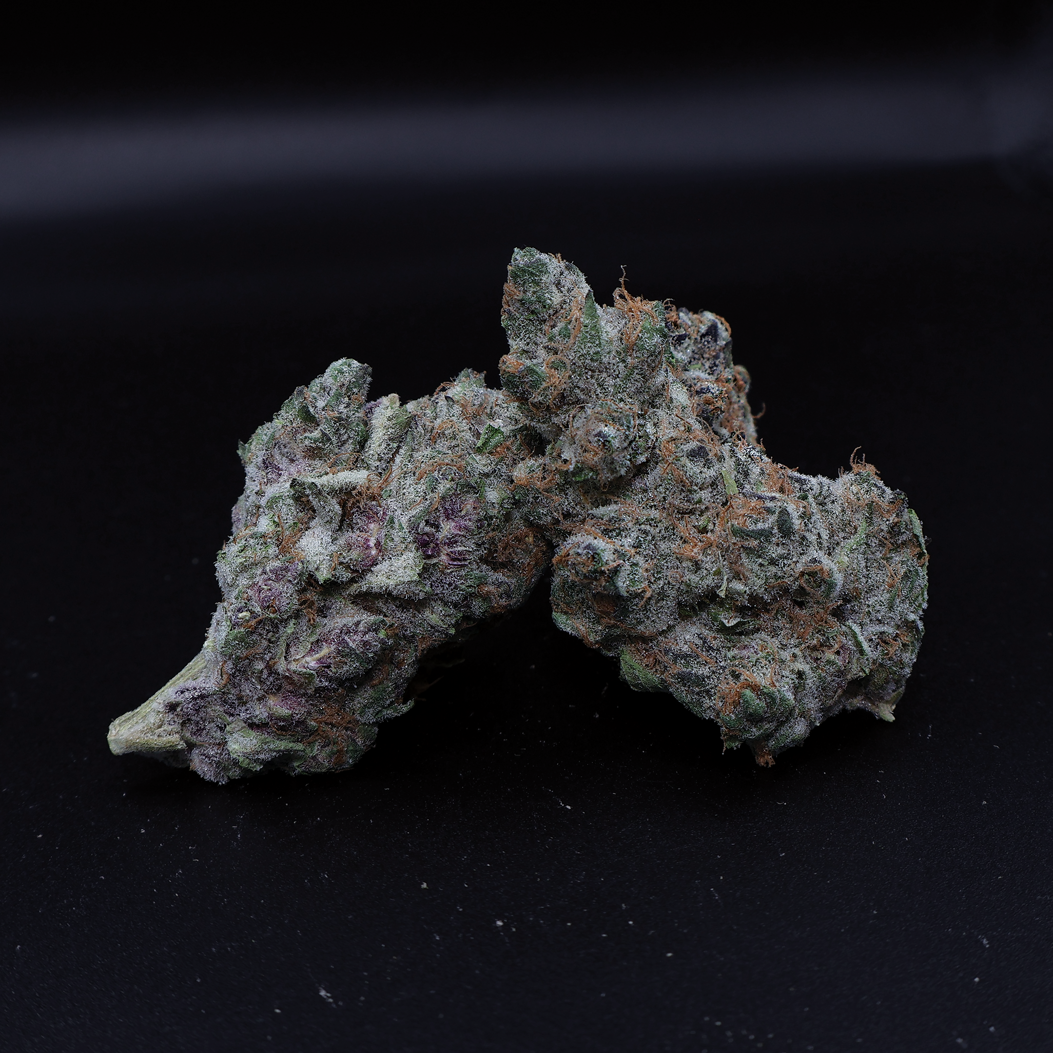 Super Boof THCa Flower - Miracle of The Desert