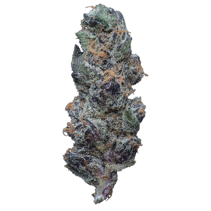 Super Boof THCa Flower - Miracle of The Desert