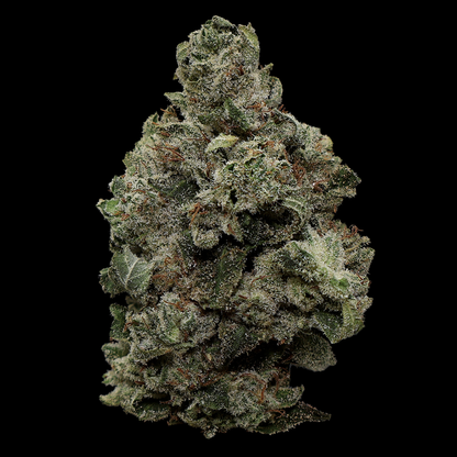 Original Glue THCa Flower - Miracle of The Desert