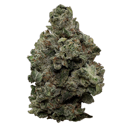 Original Glue THCa Flower - Miracle of The Desert