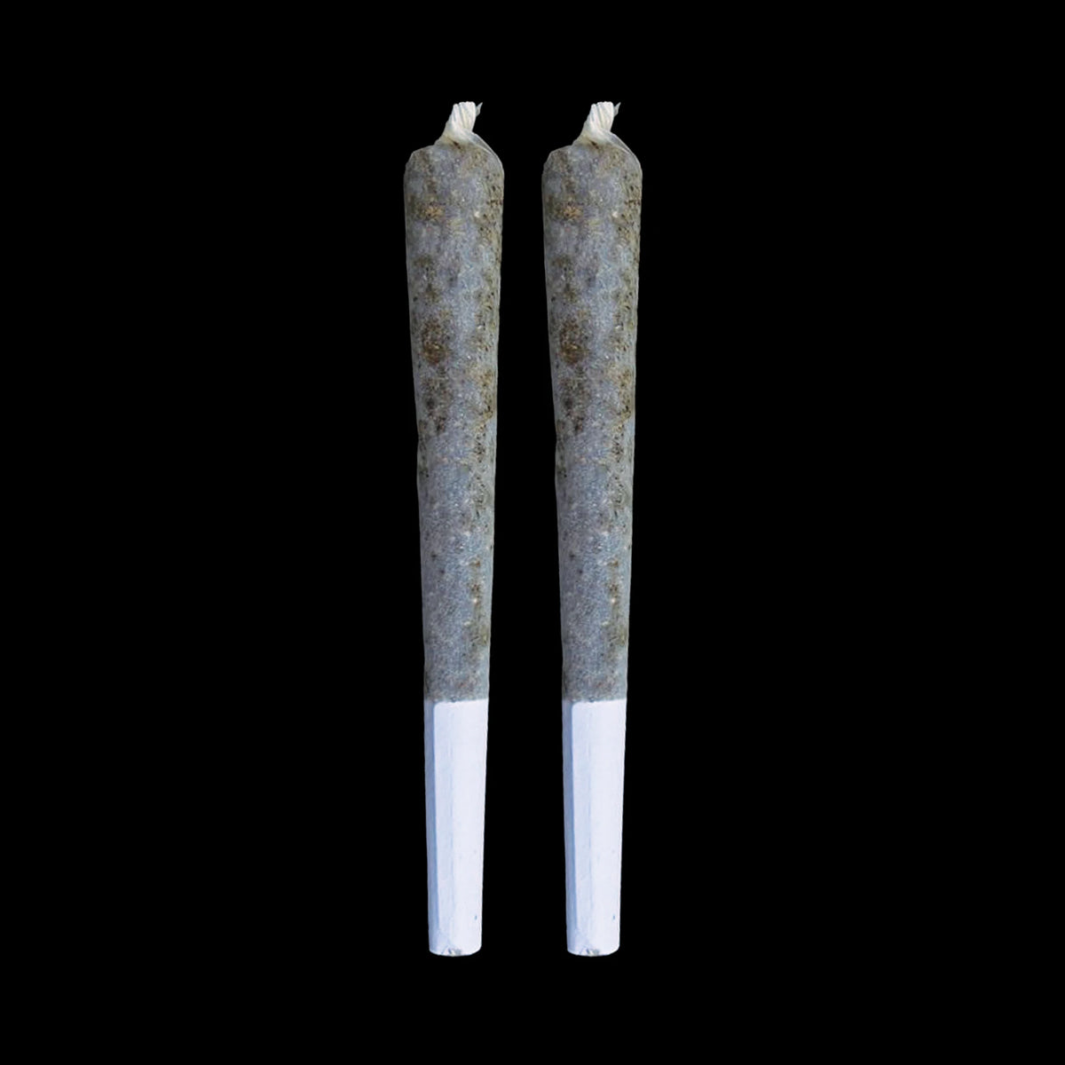 Two THCa infused pre-rolls, 1.25g each, standing side by side