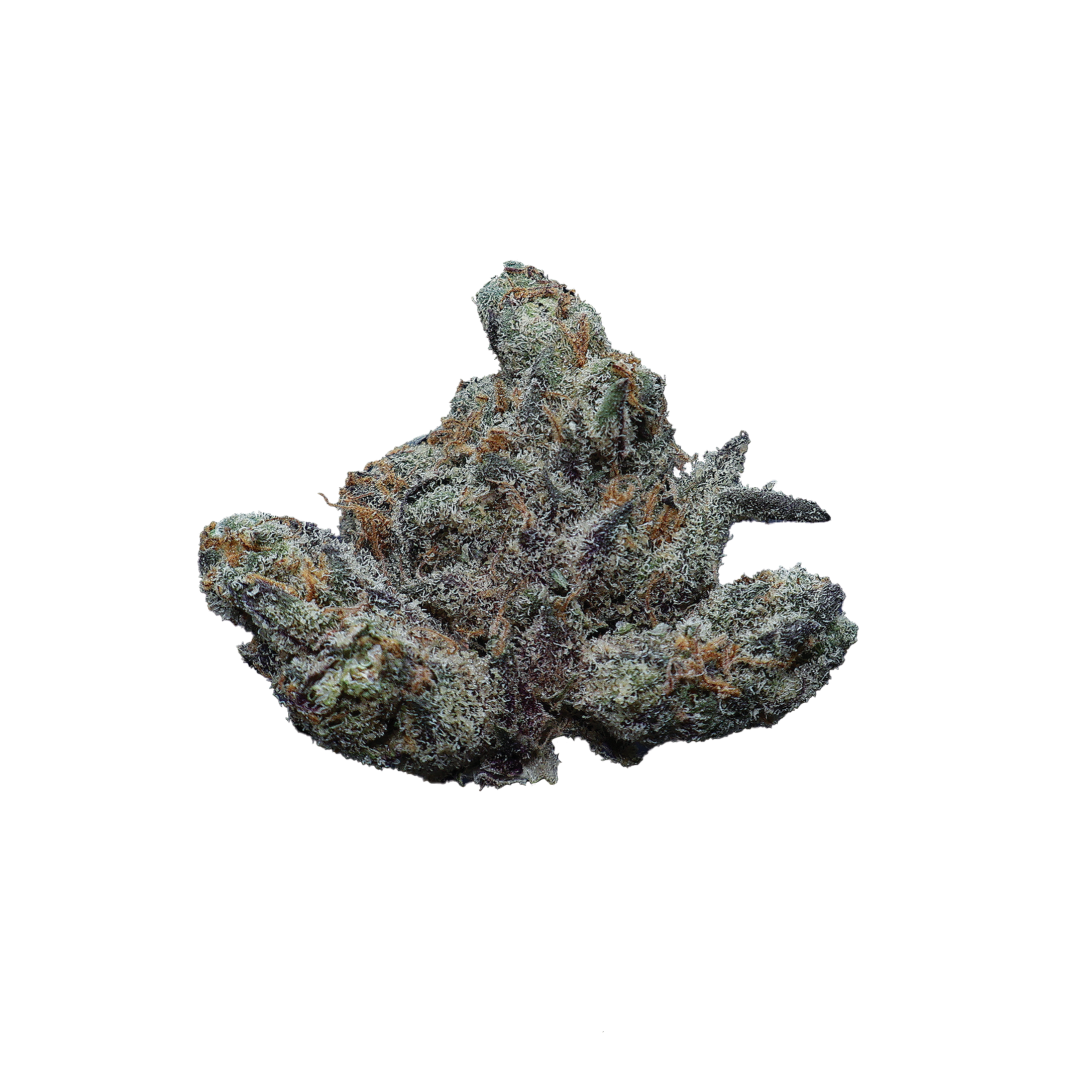 True Oregon Gushers THCa Smalls Flower