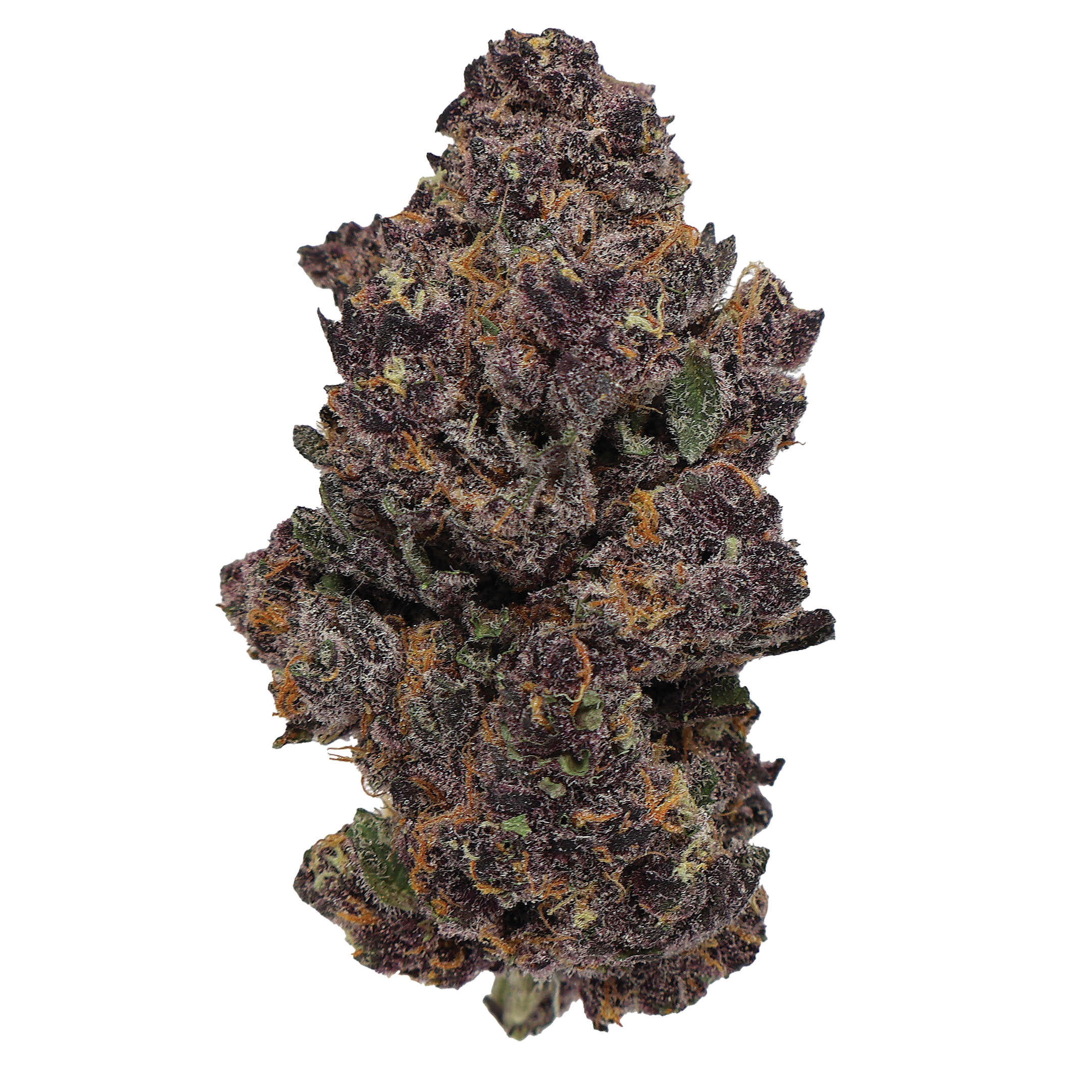Tropicanna