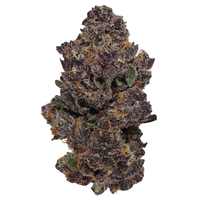 Tropicanna