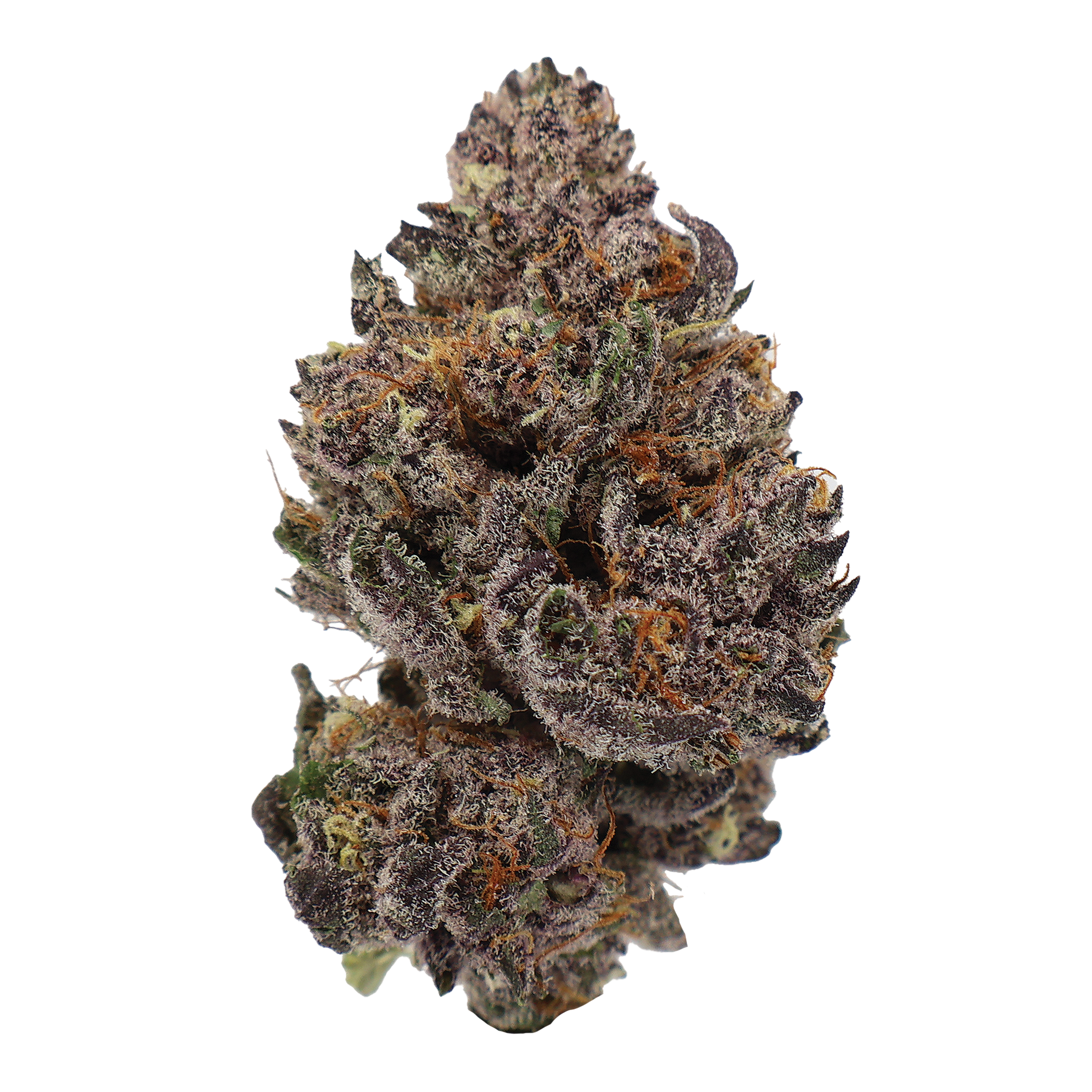 Tropicanna