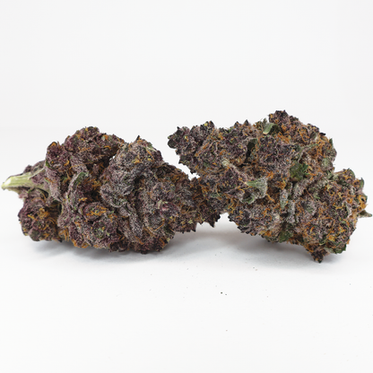 Tropicanna