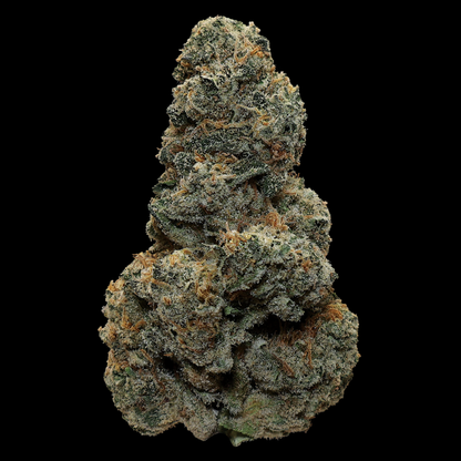 Tuna Piss THCa Flower - Miracle of The Desert