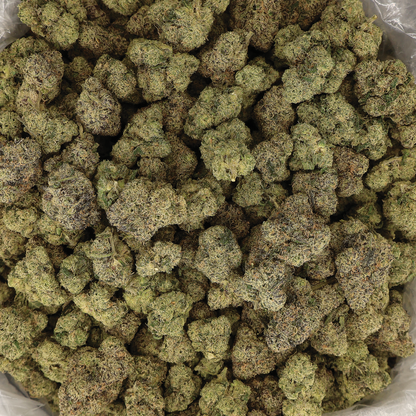 Miracle of the Desert UltraViolet OG THCA Flower with vibrant purple buds and trichome-covered surface.