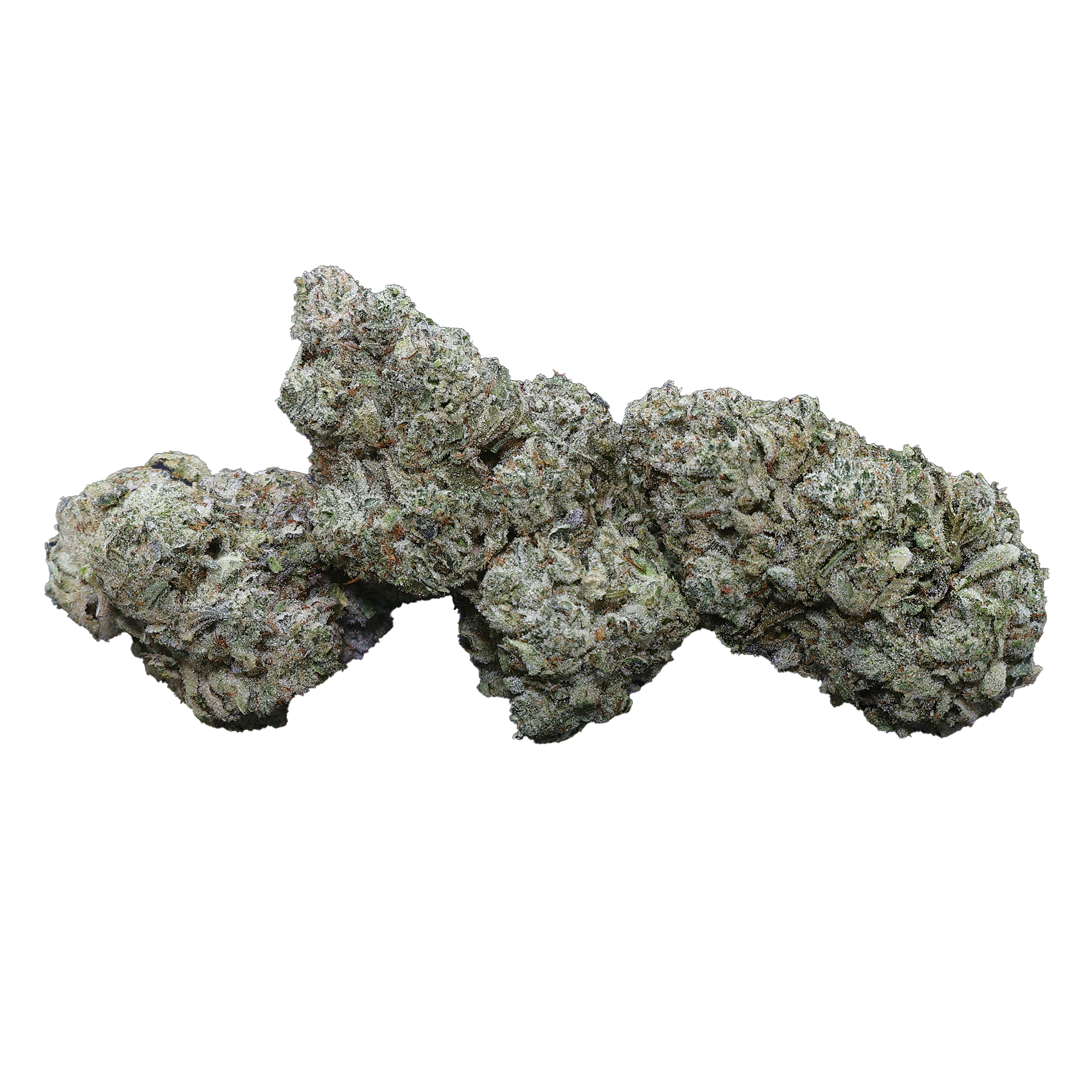 Close-up of Miracle of the Desert Zookies THCa Flower showcasing frosty buds with vibrant green and purple hues.